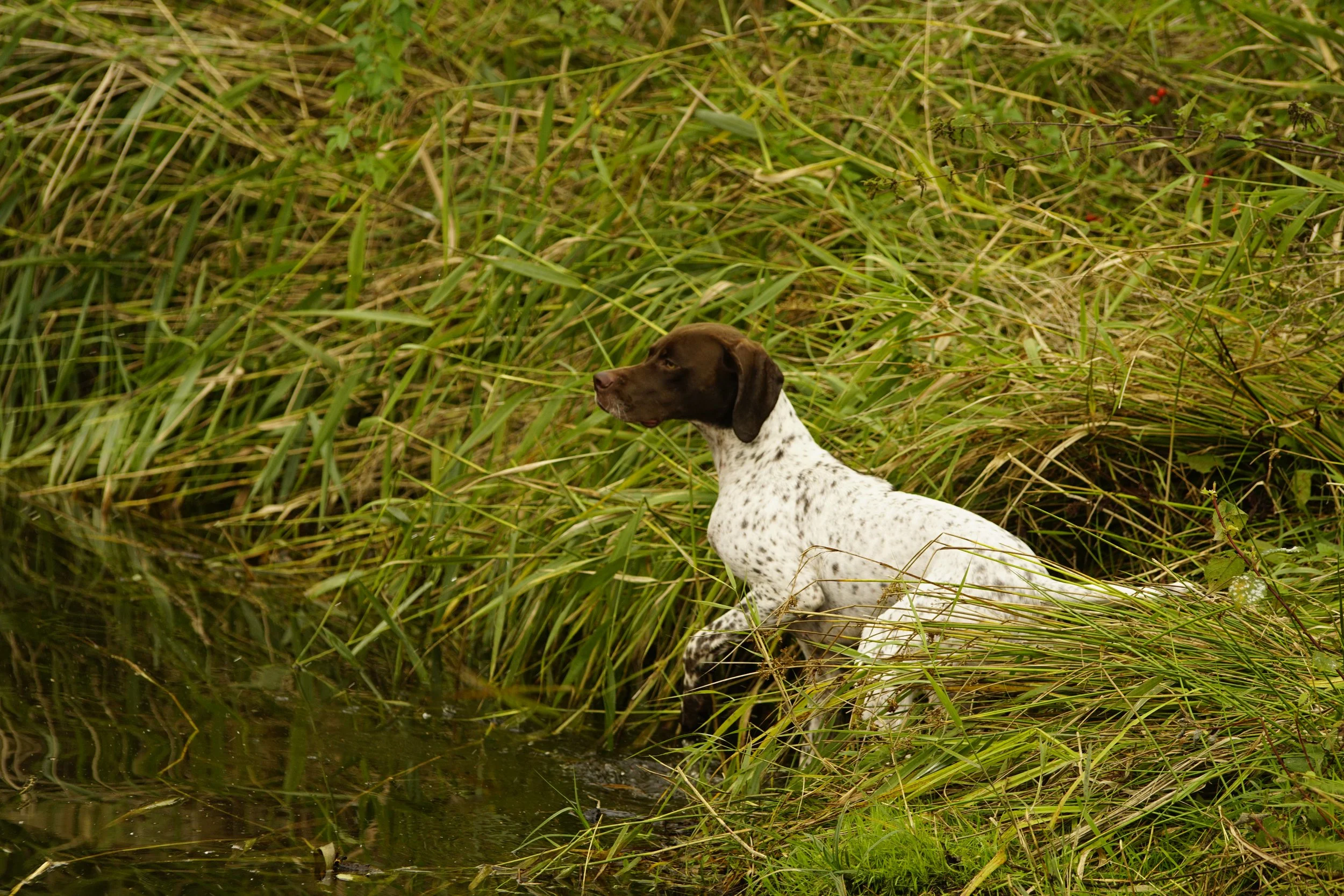 _DSC9026.JPG