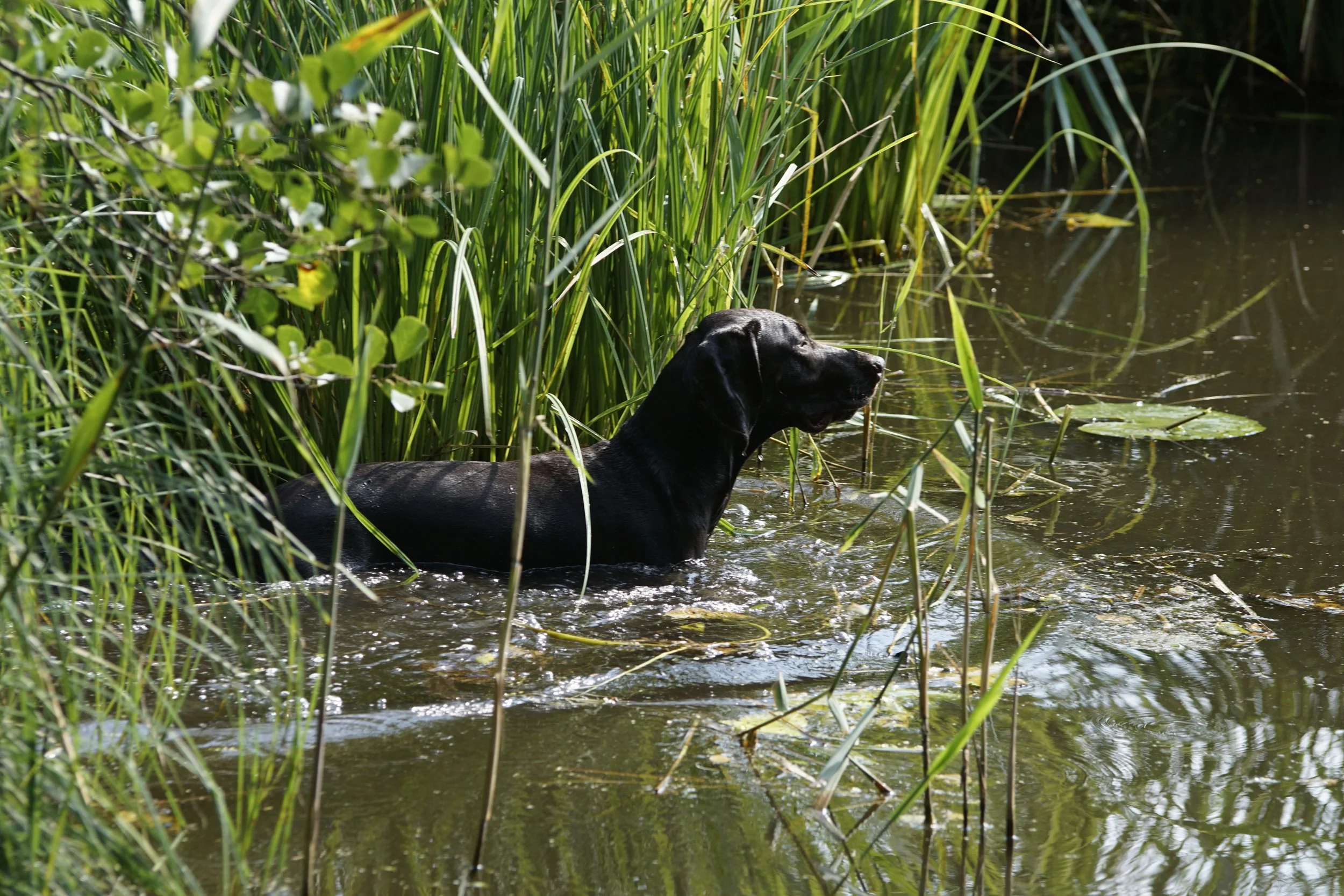 _DSC9387.JPG