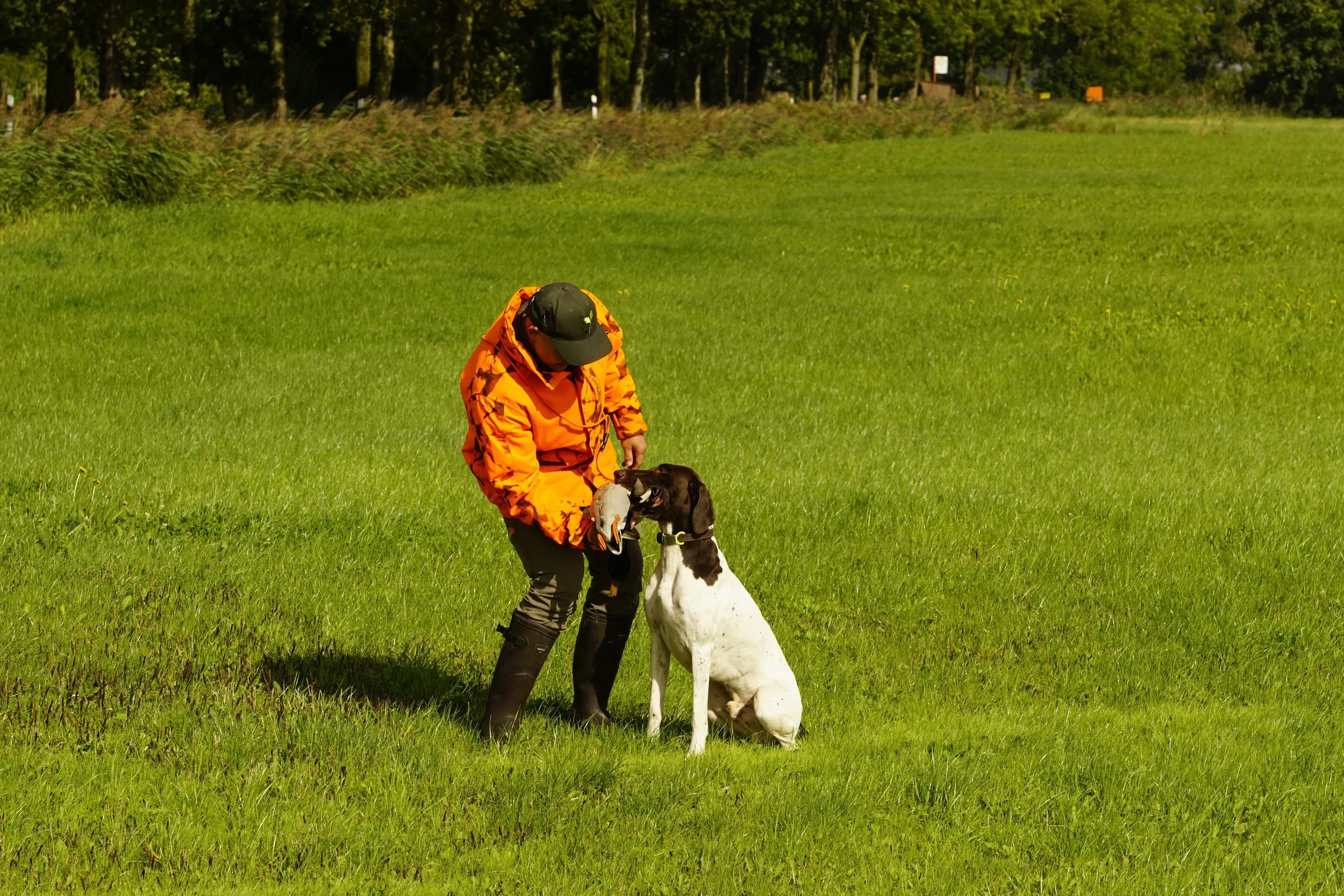 _DSC7813.JPG