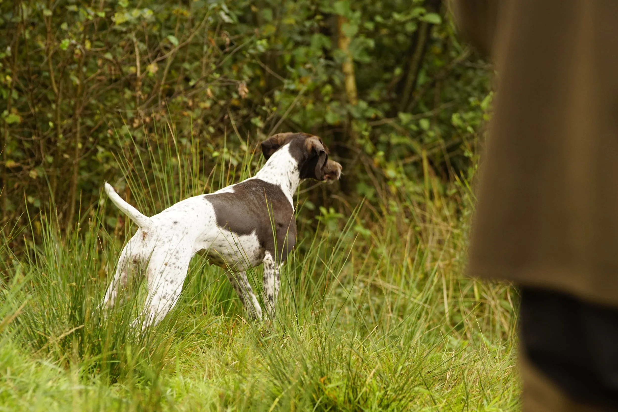 _DSC9064.JPG