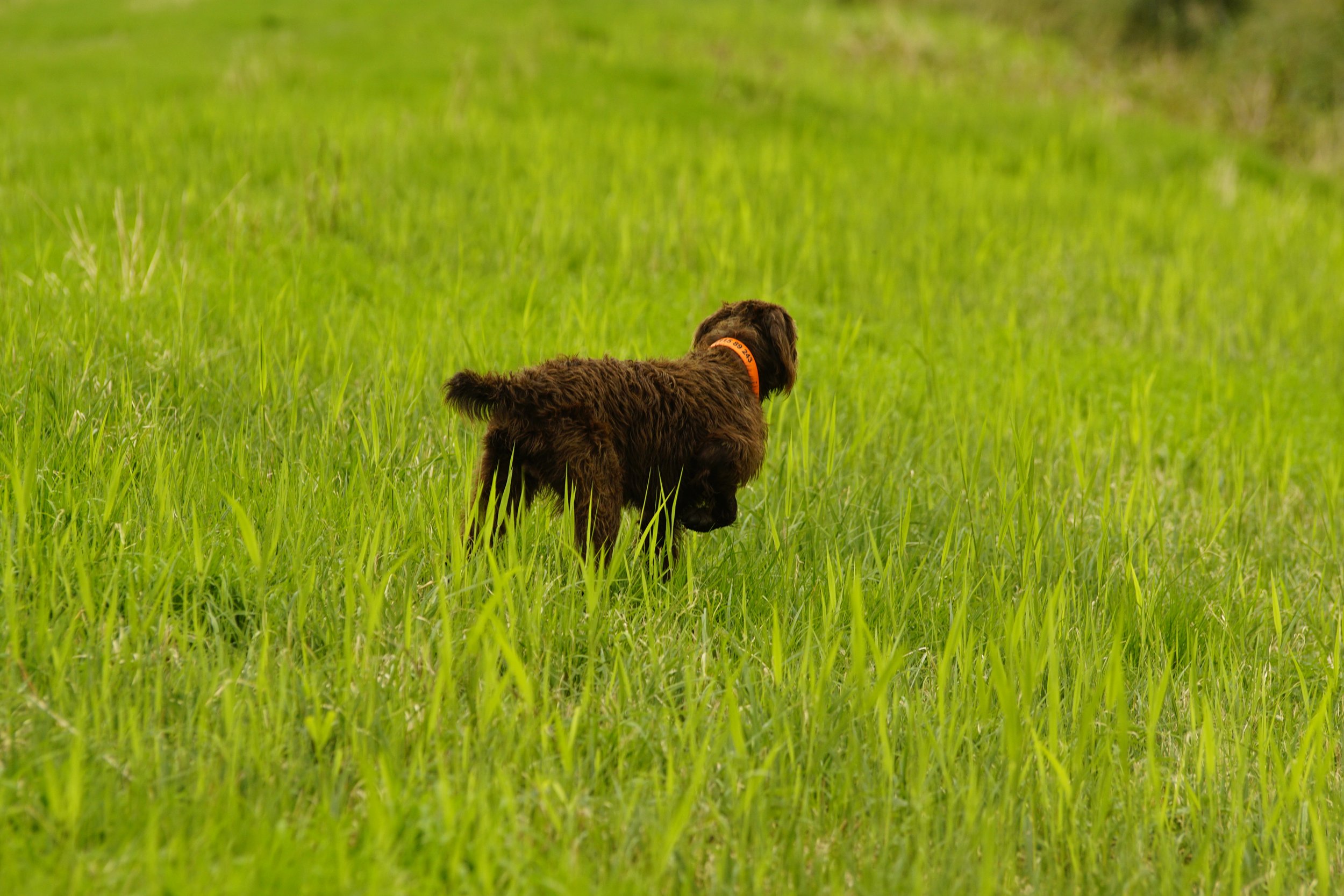 _DSC9396.JPG