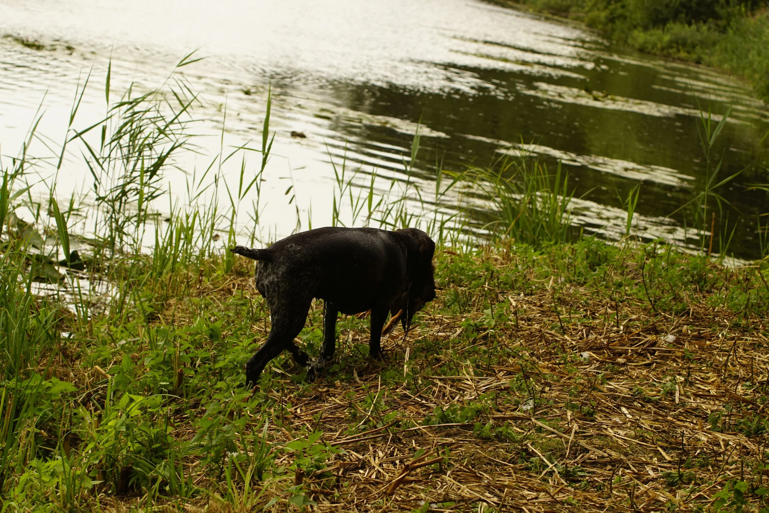 _DSC9753.JPG