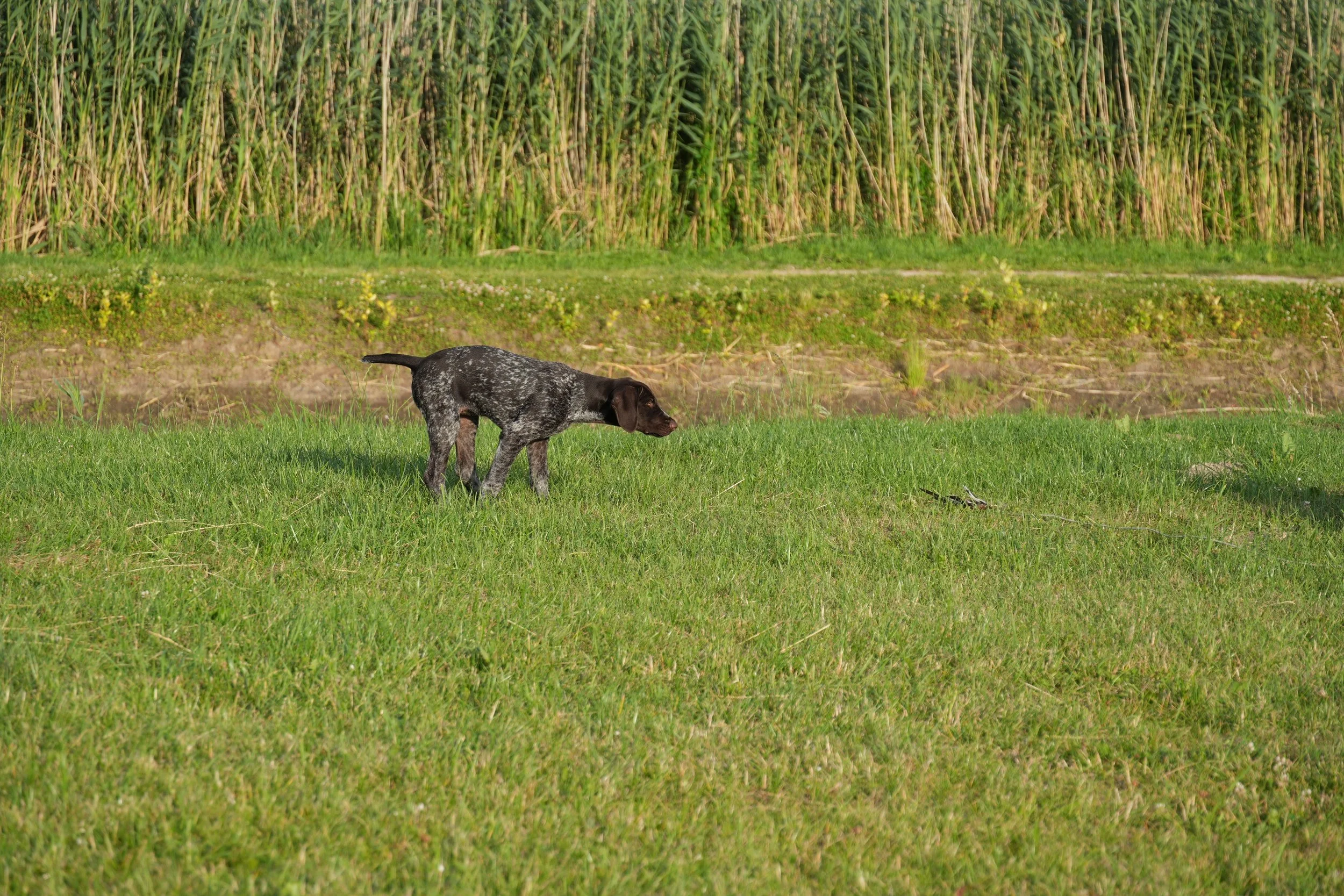 DSC08935.JPG