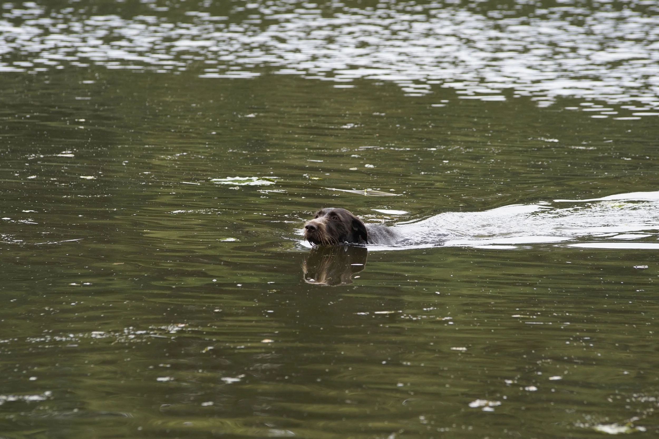 _DSC9779.JPG
