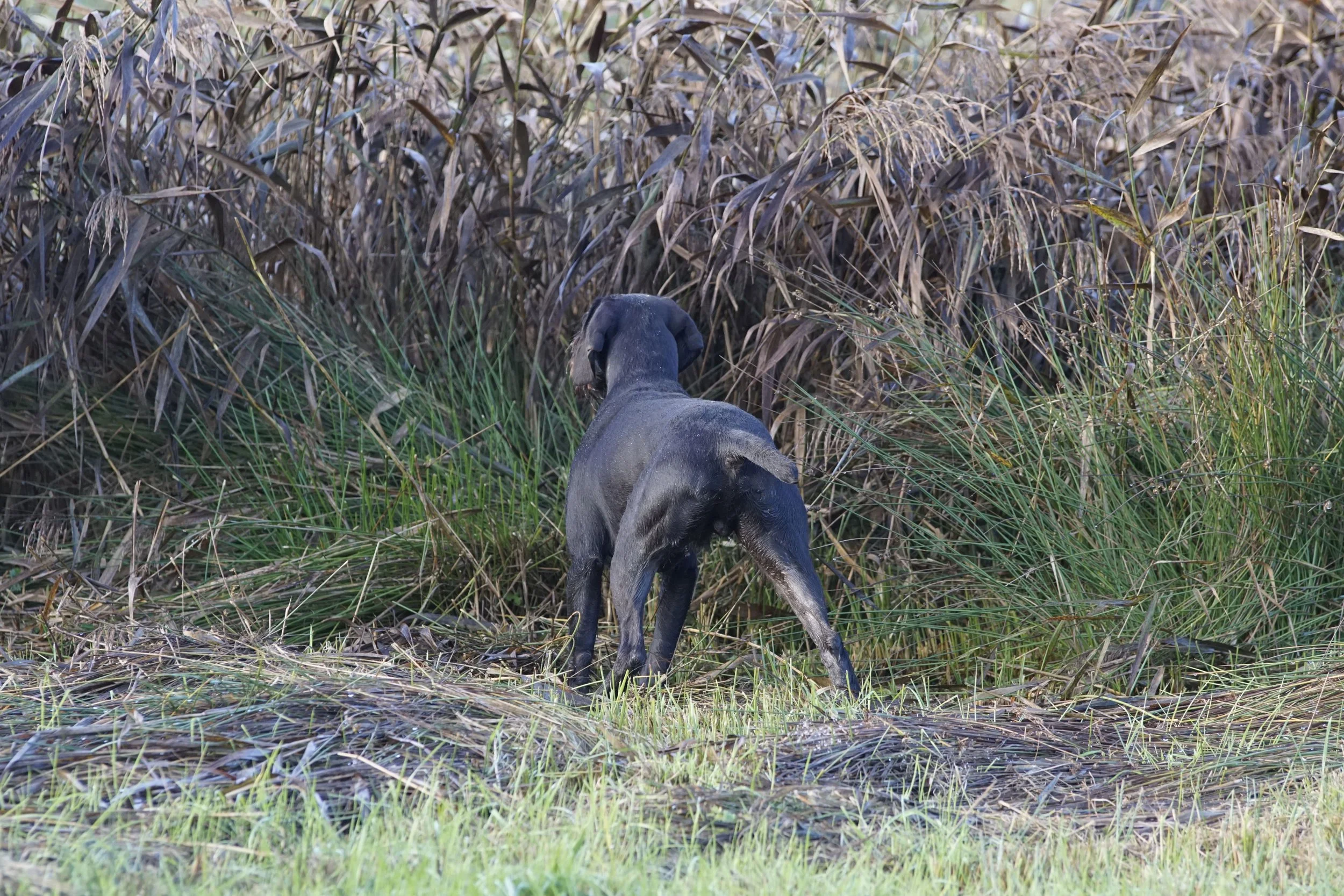image7ii0577.jpg