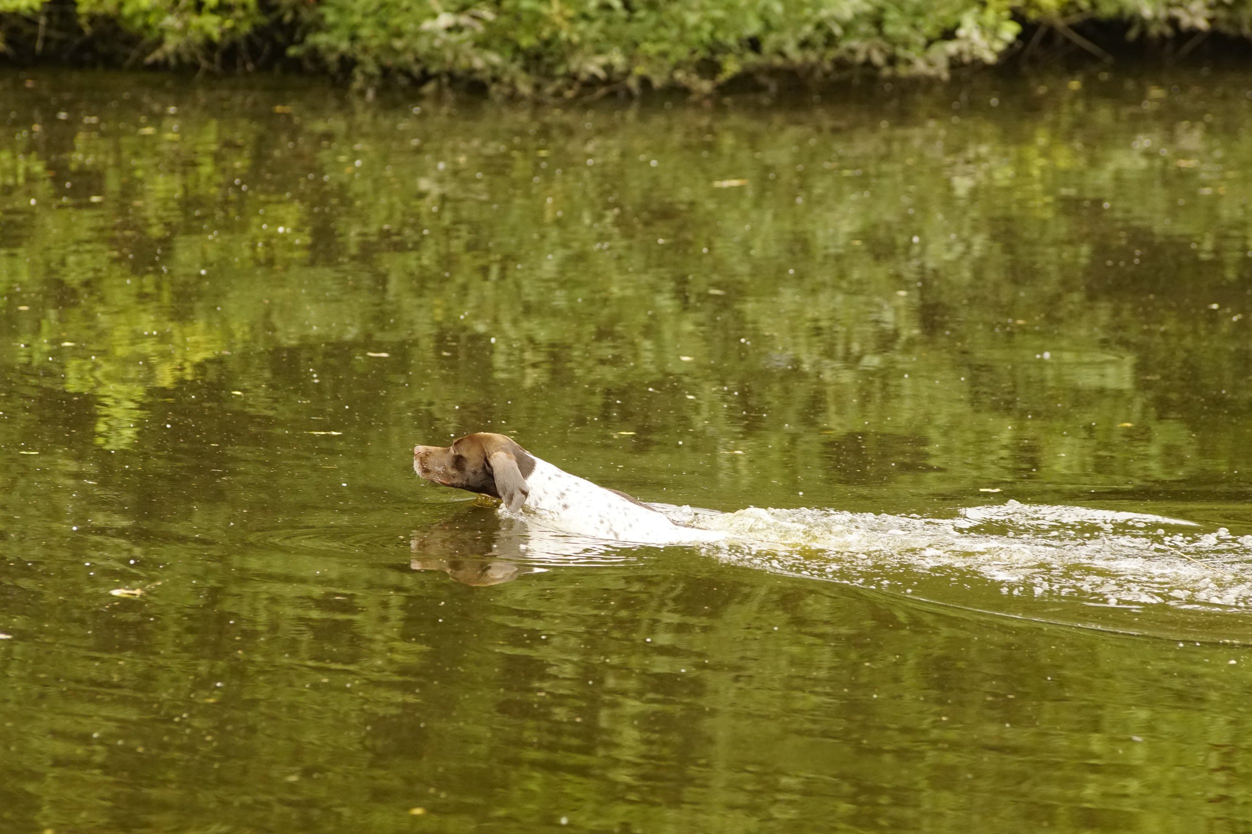_DSC9032.JPG