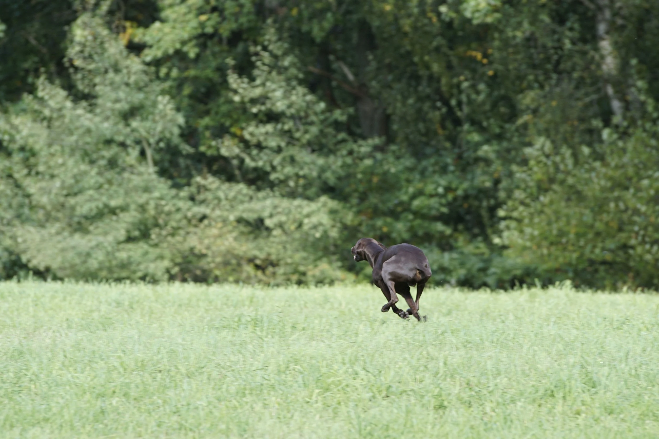 _DSC3100.JPG