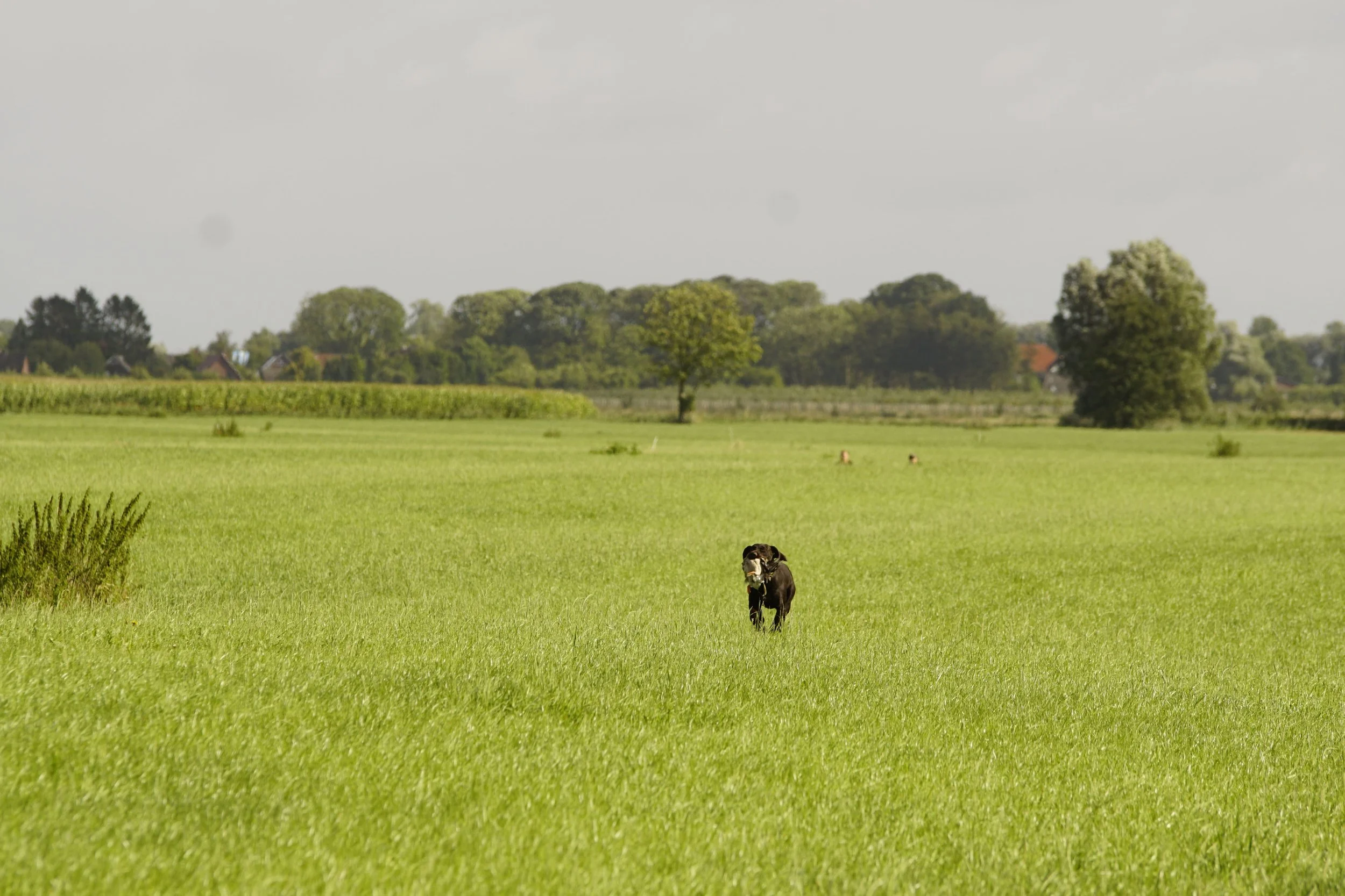 _DSC7858.JPG
