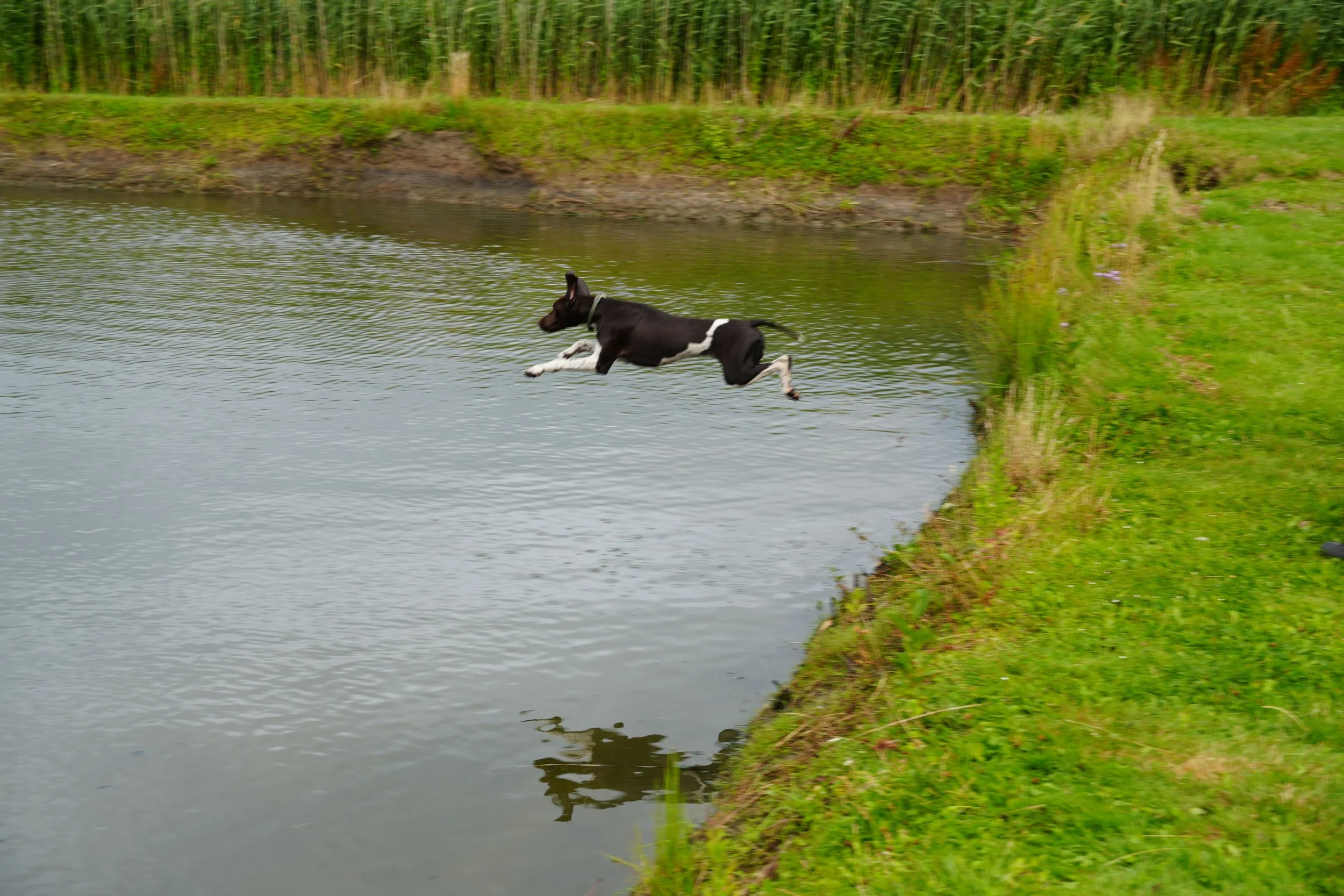 DSC08626.JPG