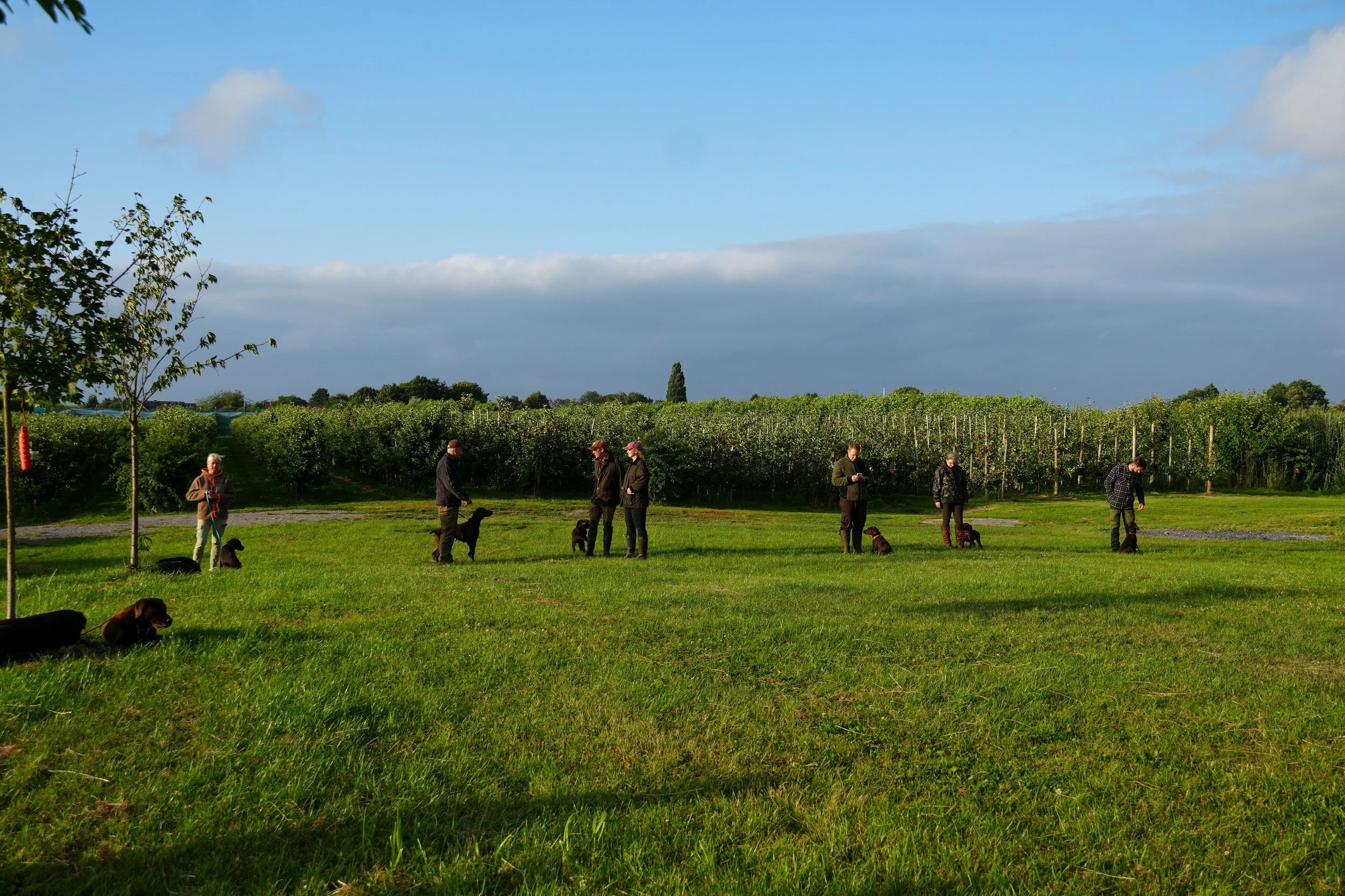 DSC08965.JPG