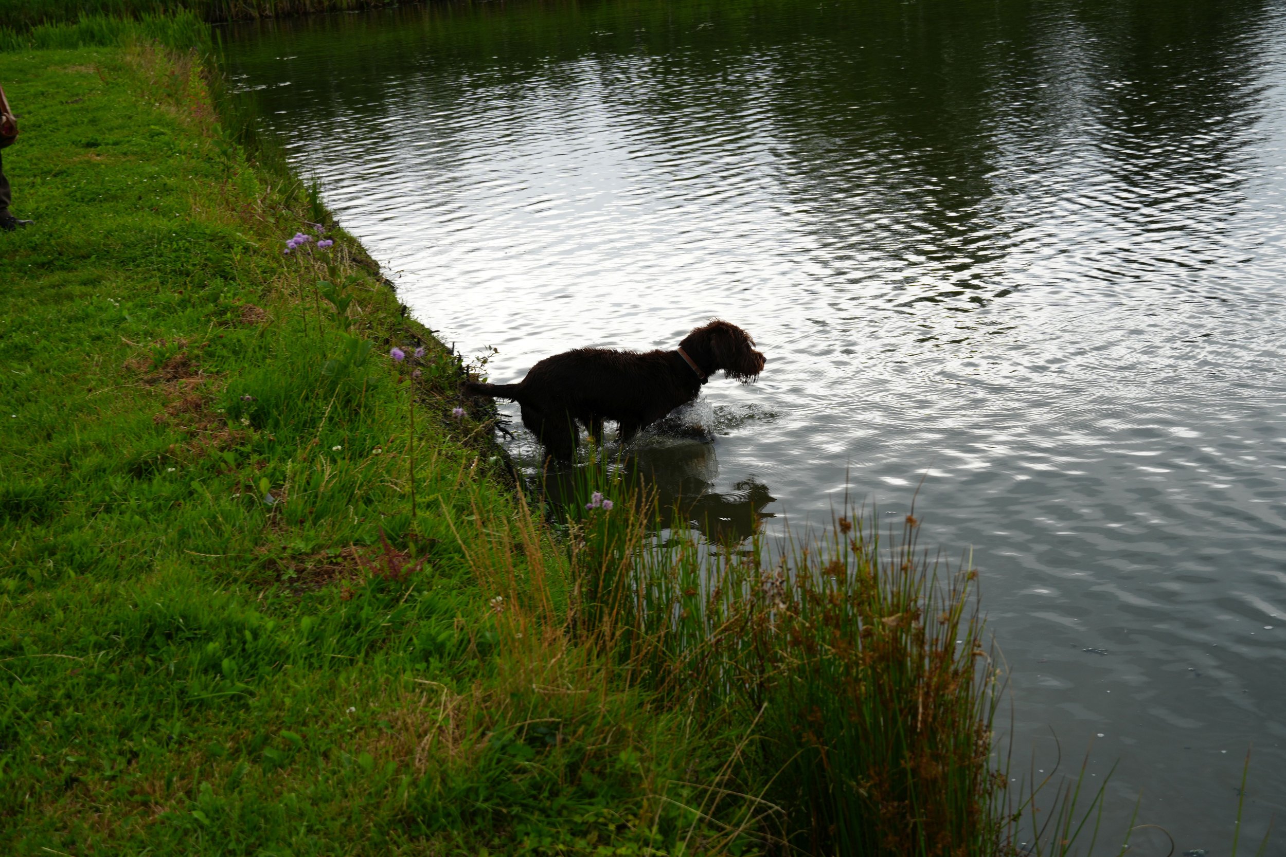 DSC08550.JPG