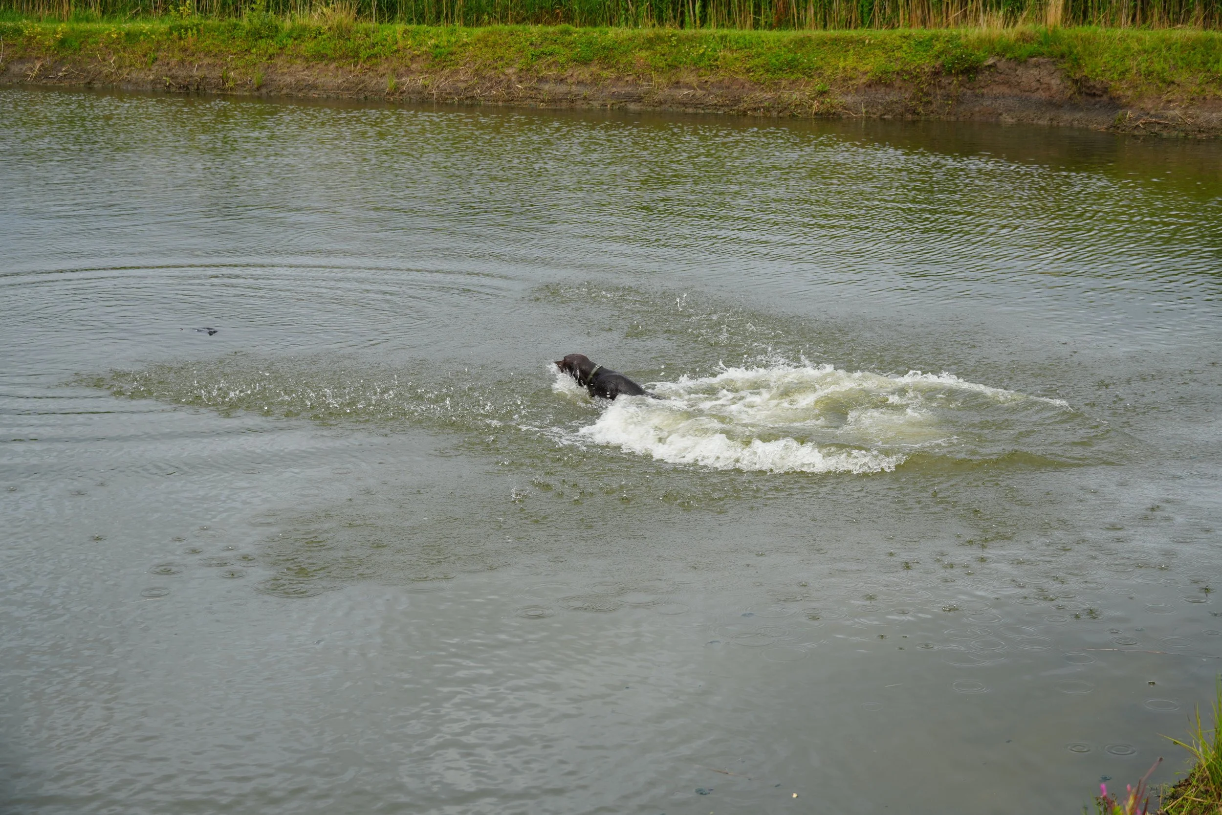 DSC08631.JPG