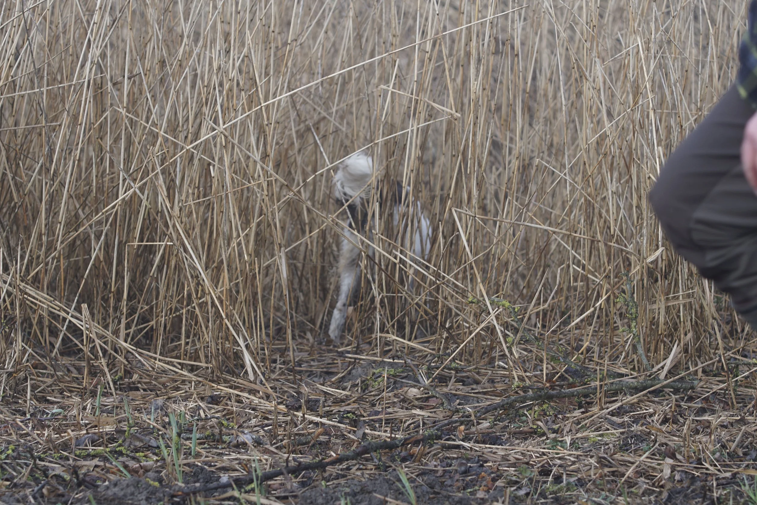 _DSC0034.JPG