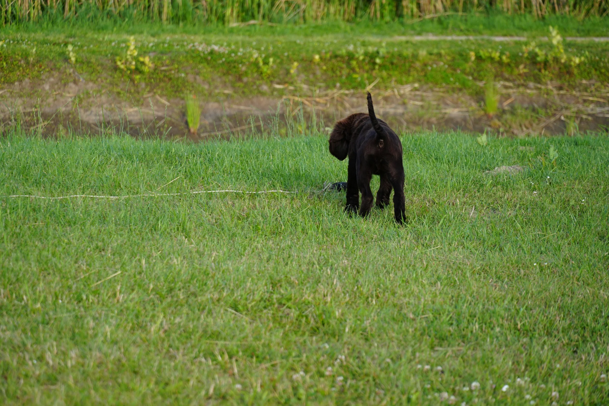 DSC08989.JPG