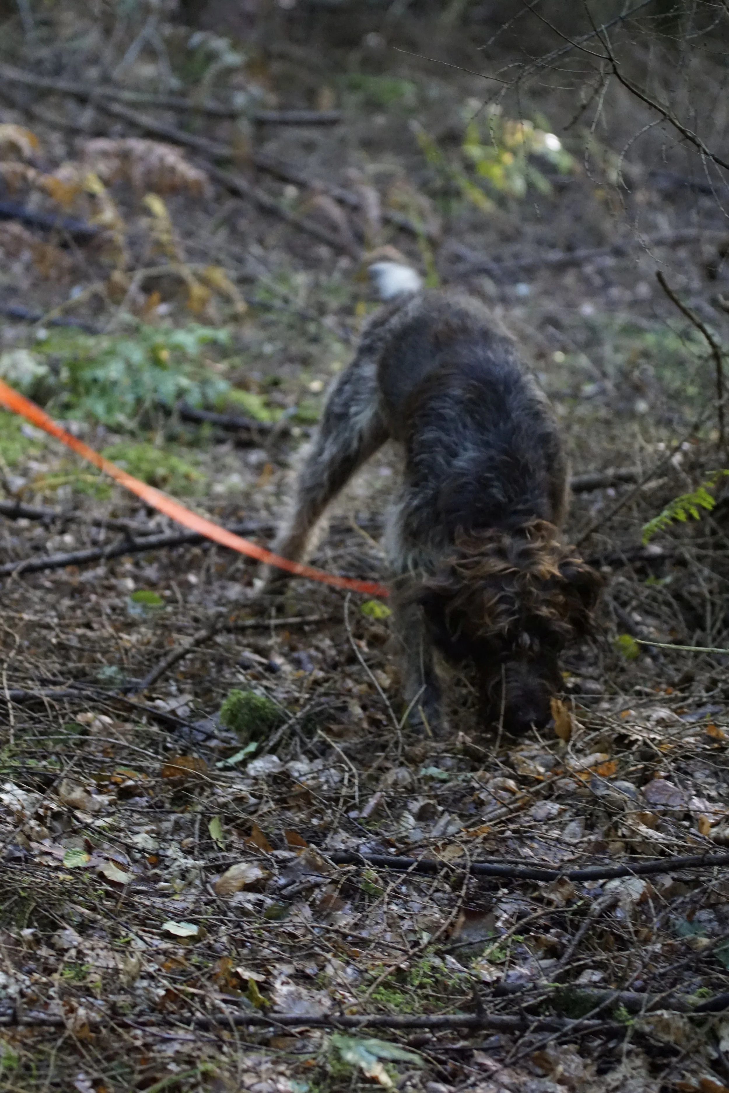 image145.JPG