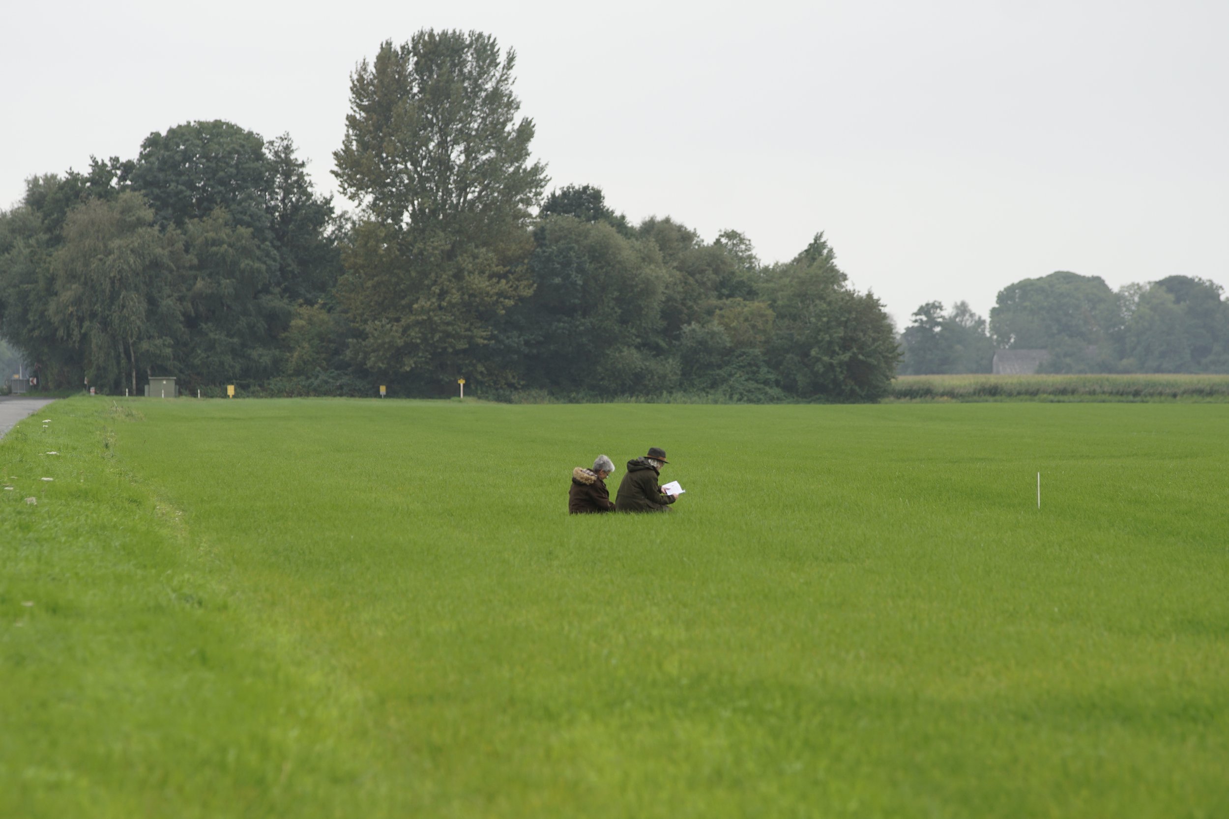 _DSC9545.JPG