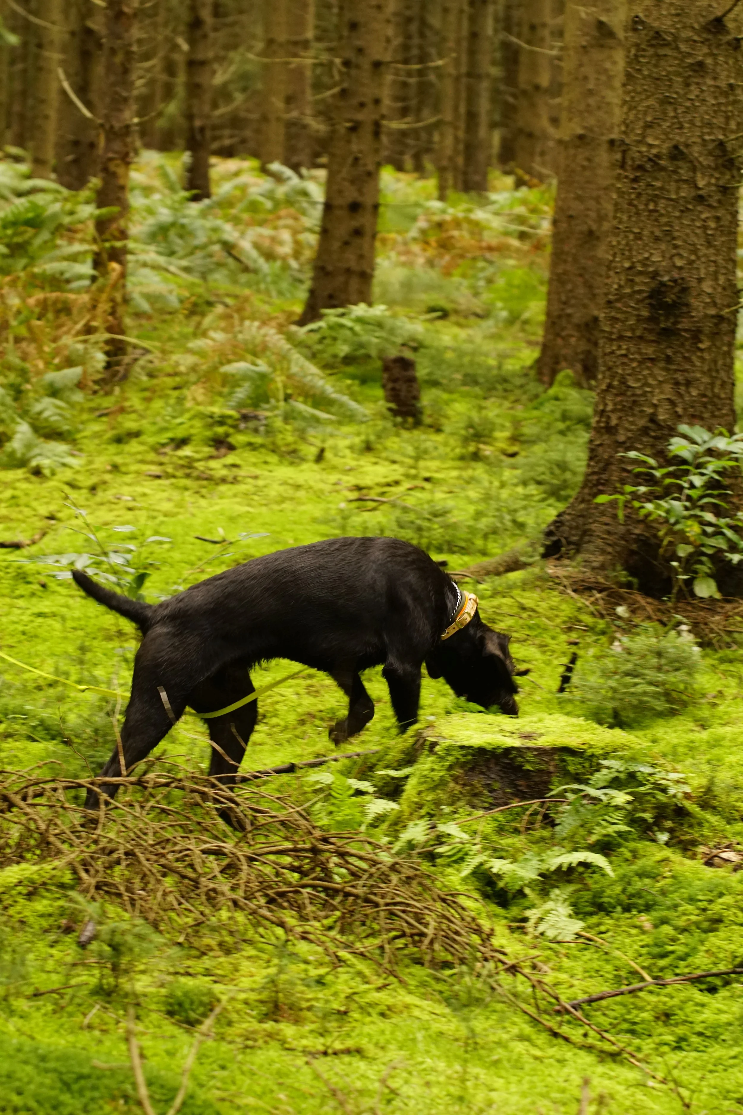 _DSC8335.JPG