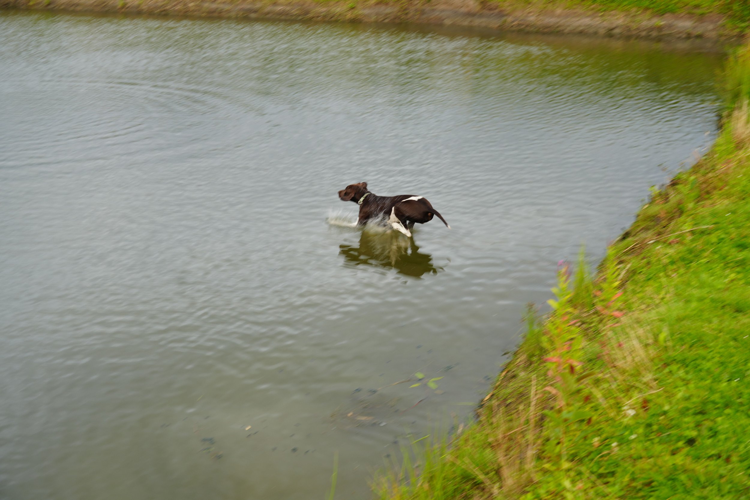 DSC08616.JPG