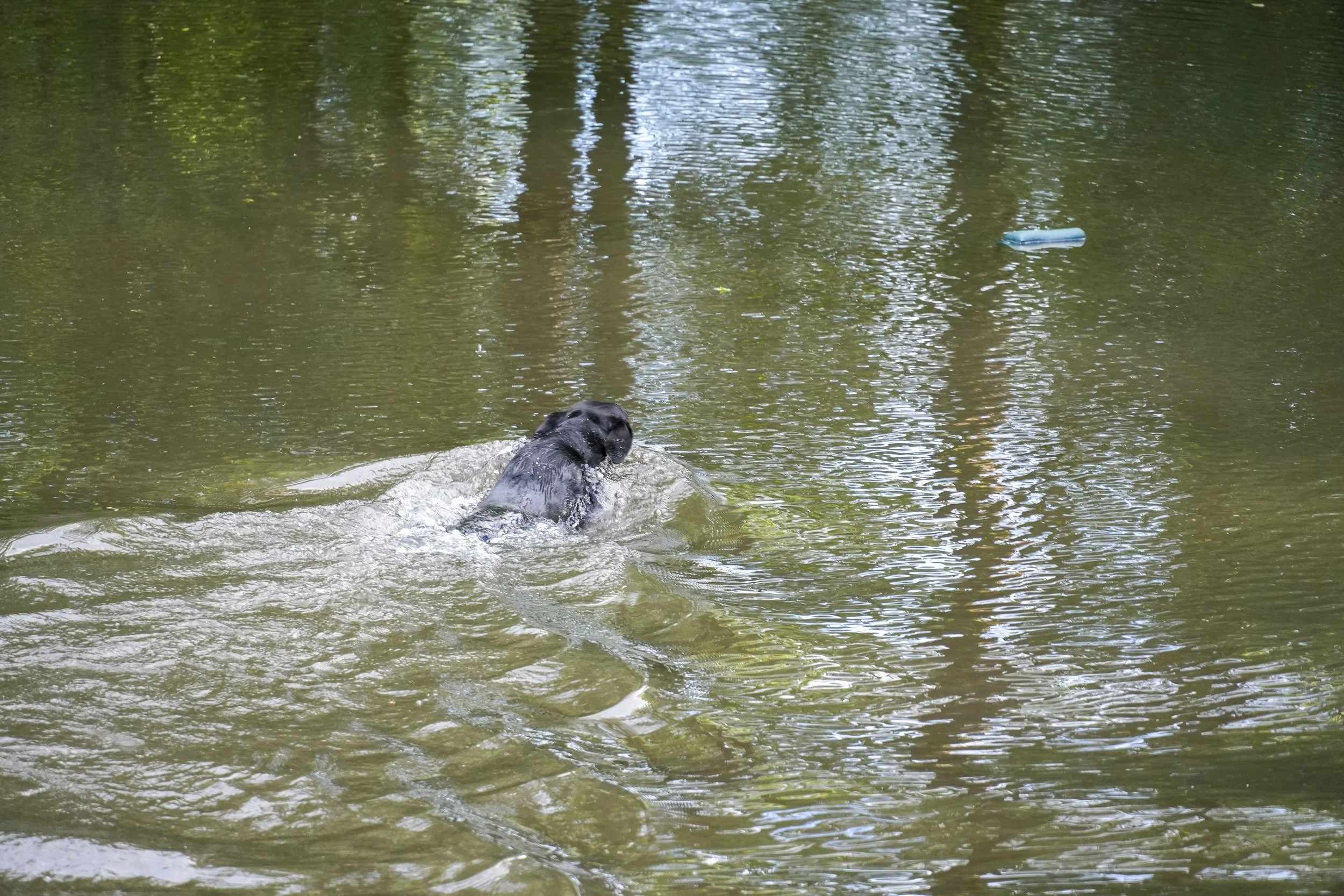 DSC01671.jpg
