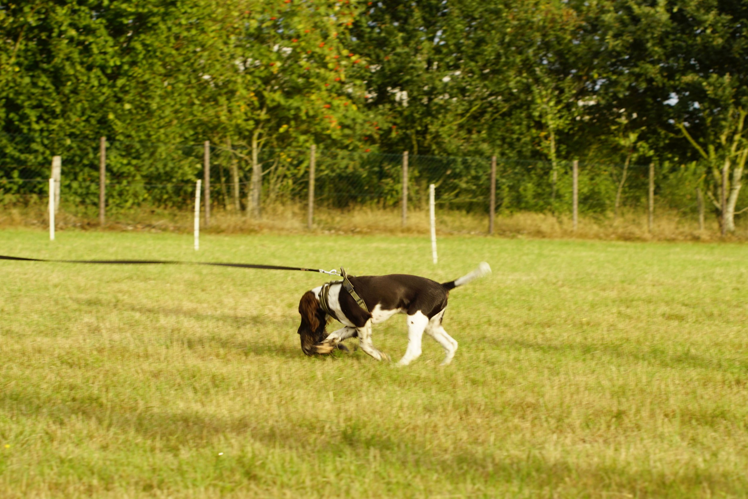 _DSC6527.JPG