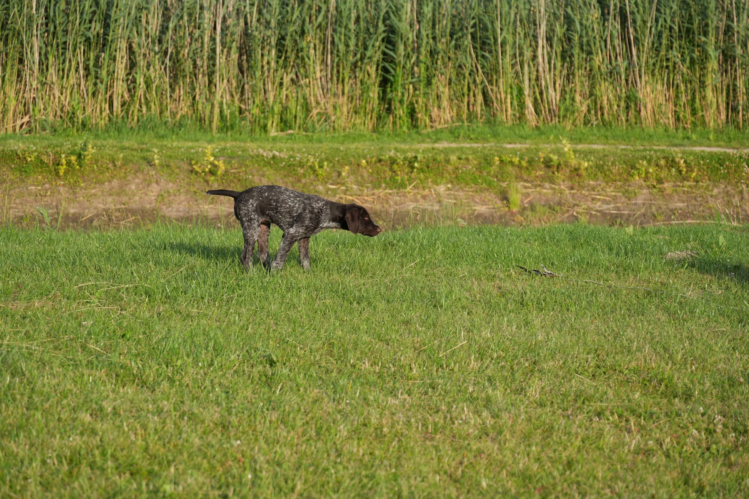 DSC08937.JPG