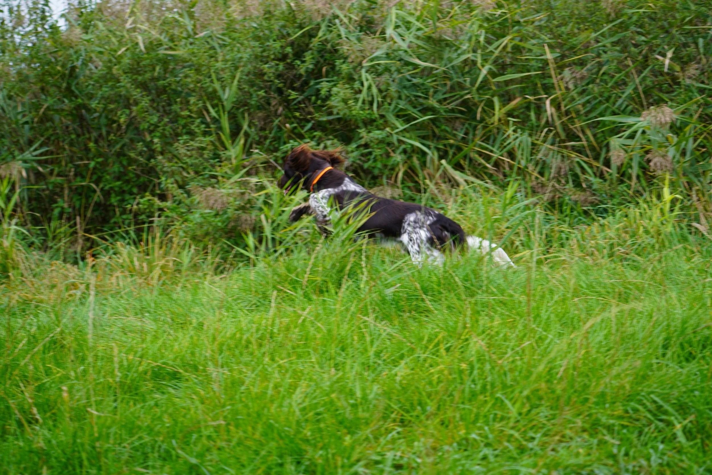 DSC01123.JPG