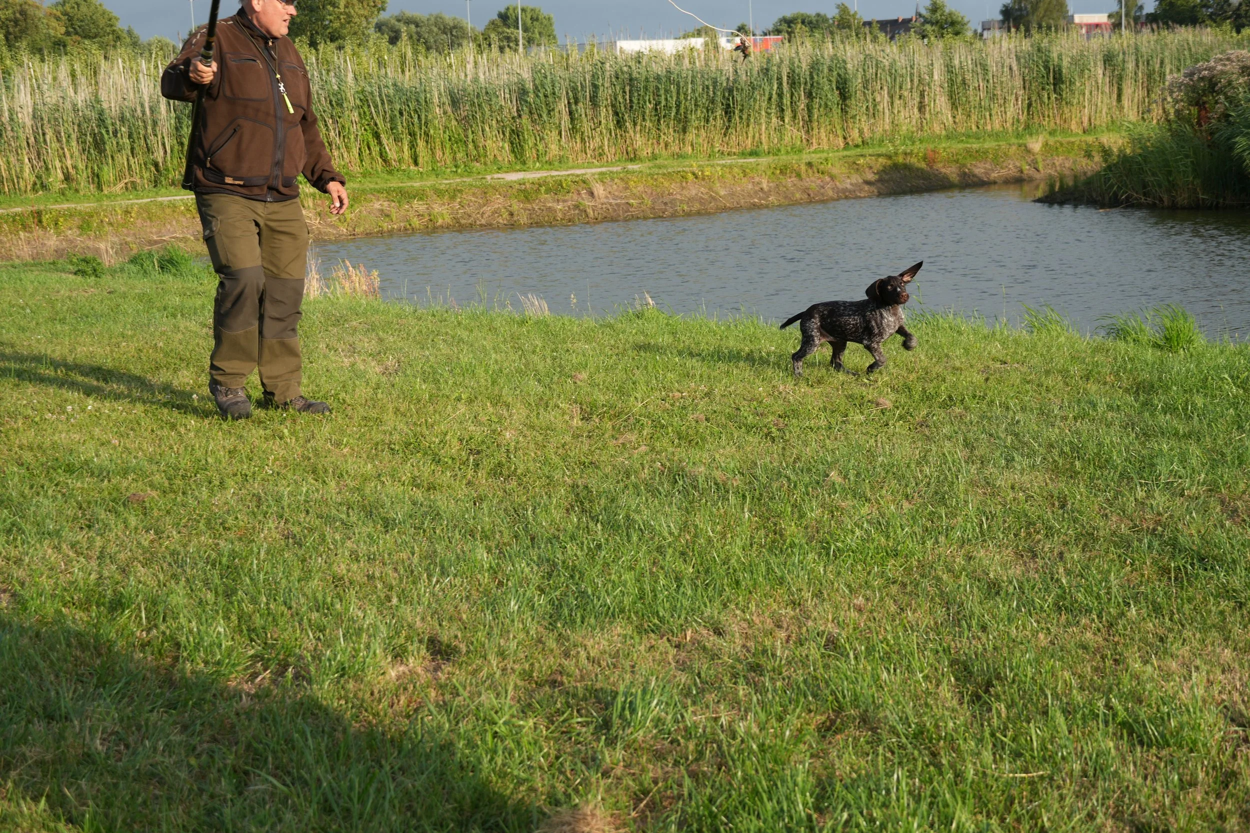 DSC08949.JPG