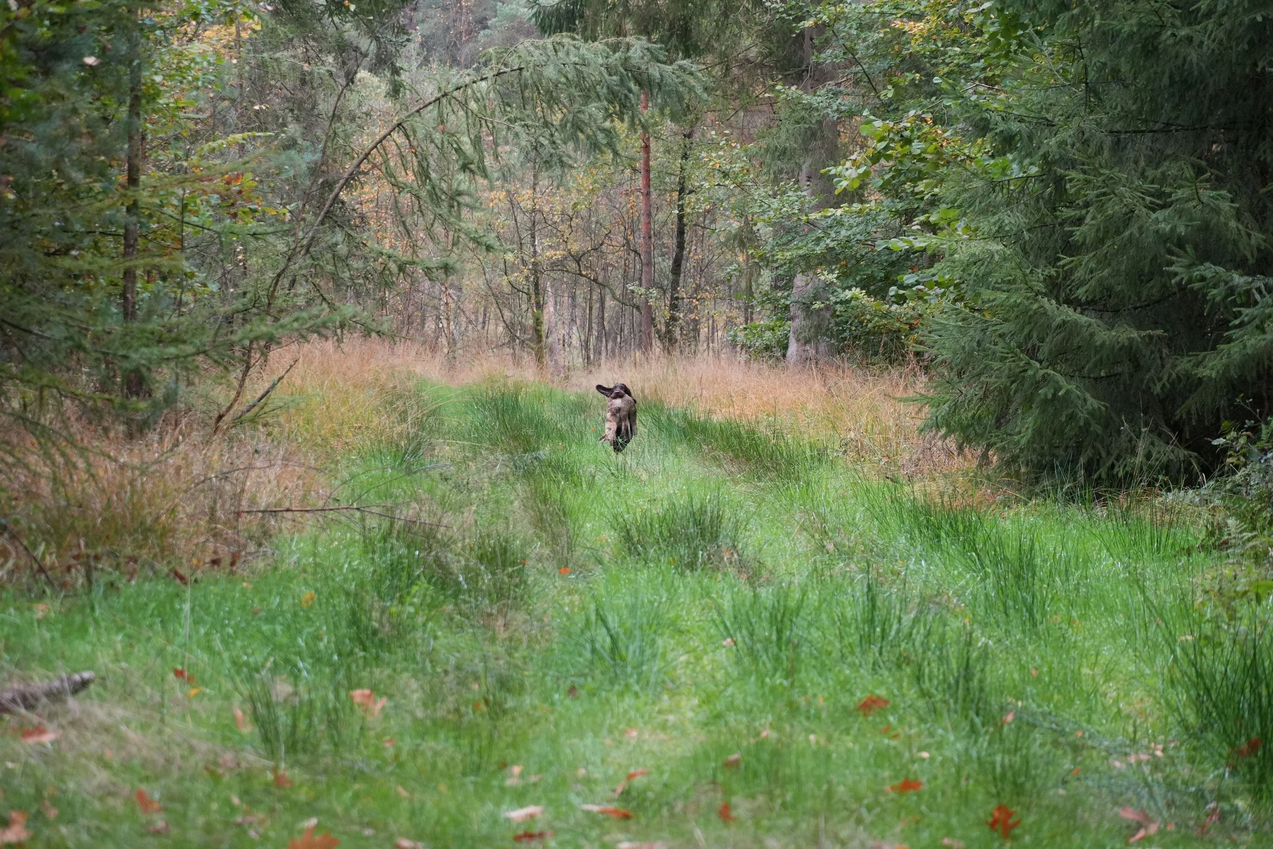 image7ii0324.jpg