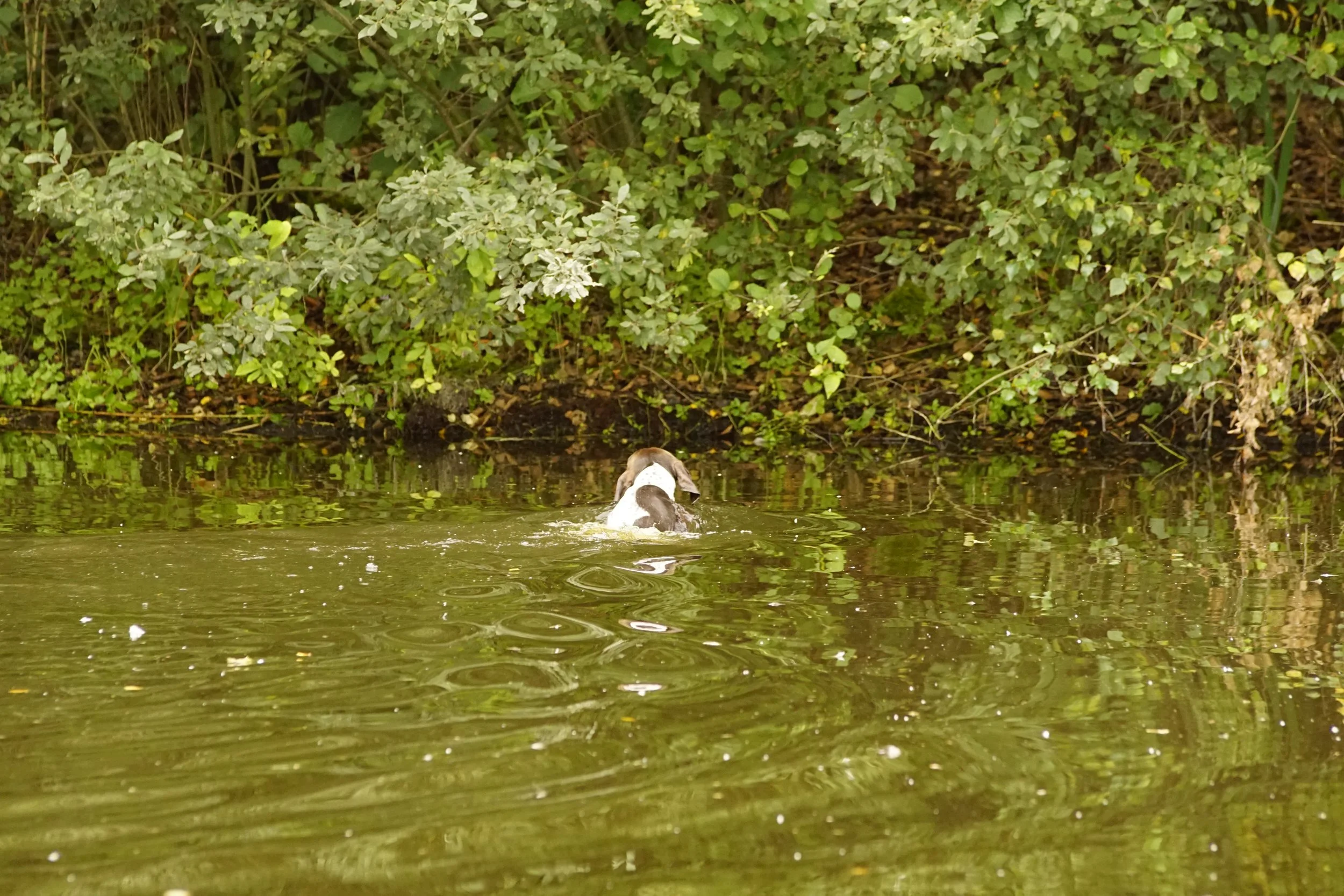 _DSC9063.JPG