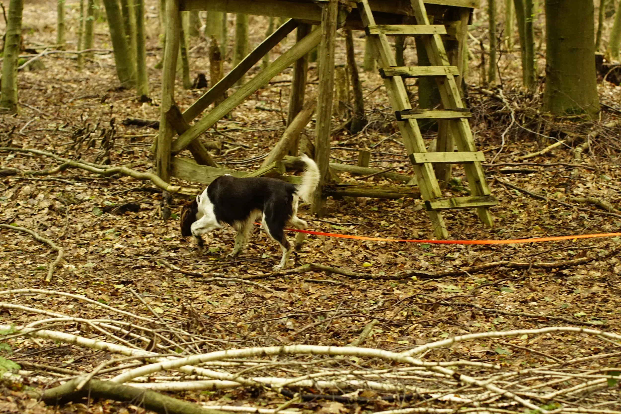 _DSC8390.JPG