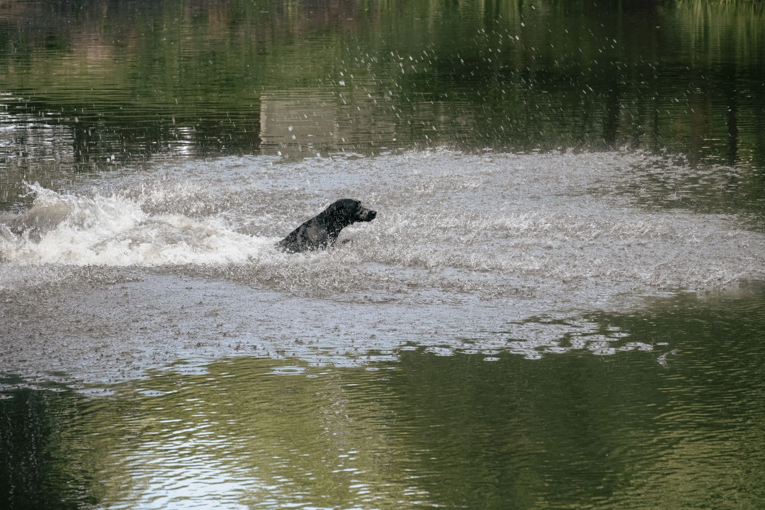 DSC01780.jpg