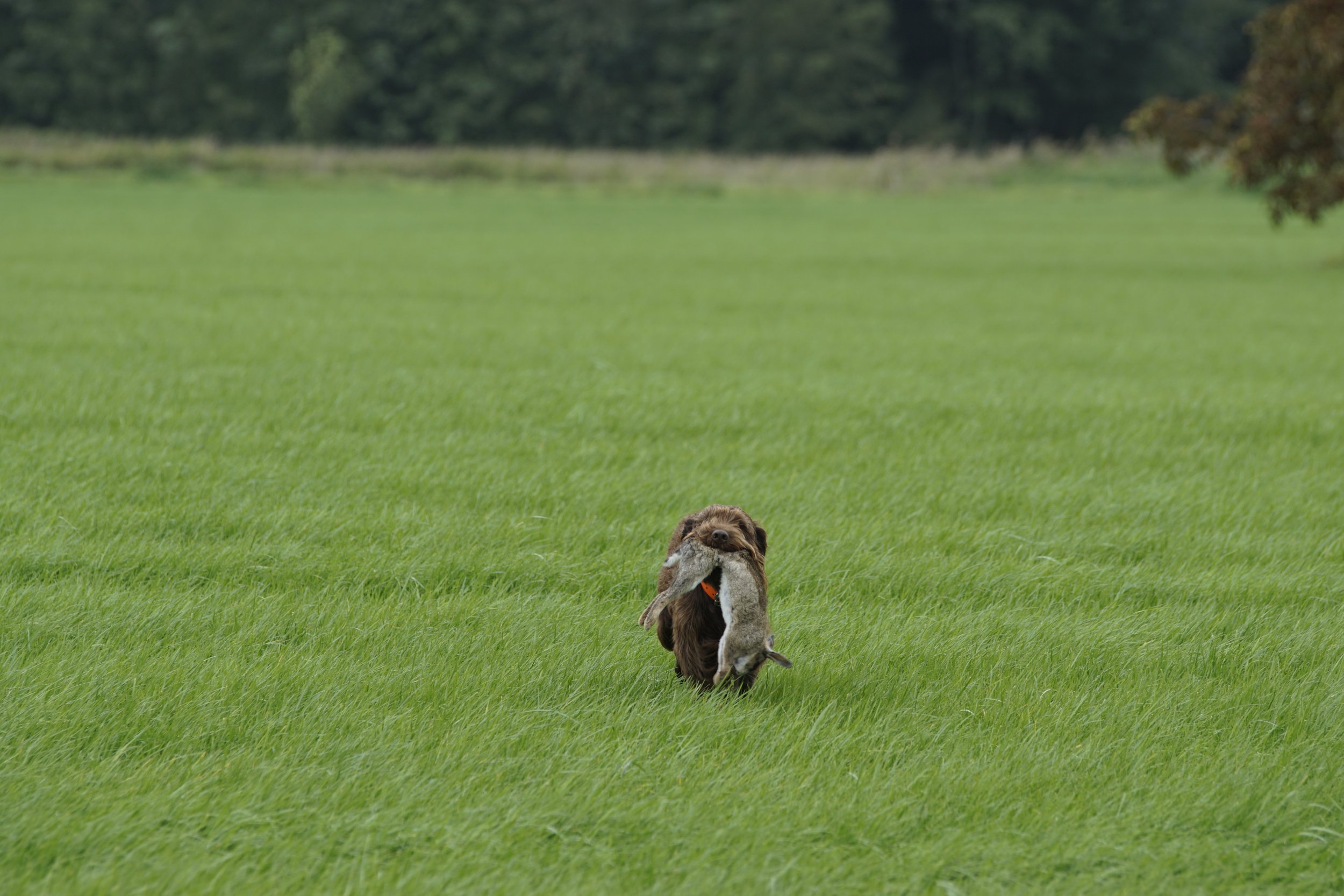 _DSC9587.JPG