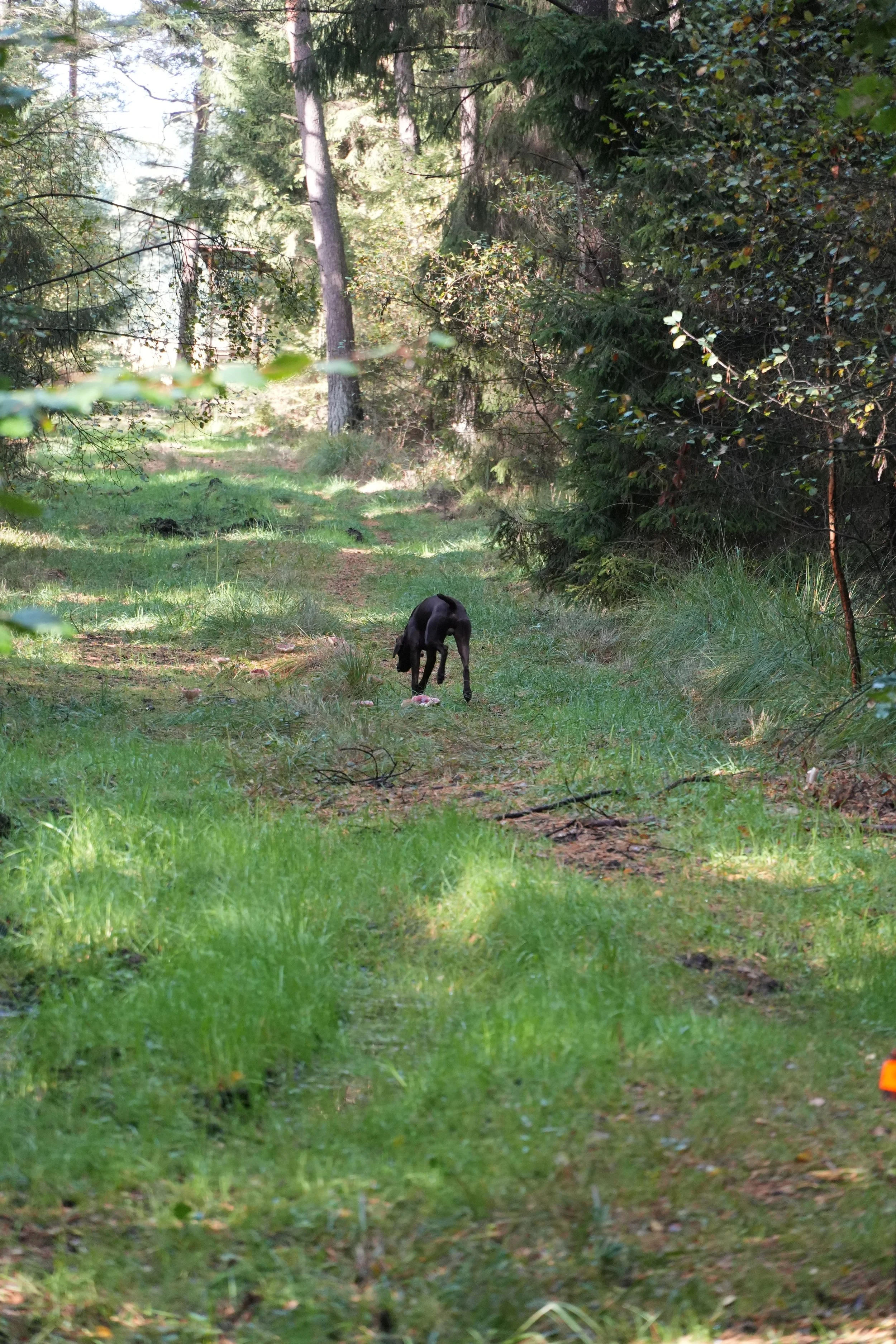 DSC08010.JPG