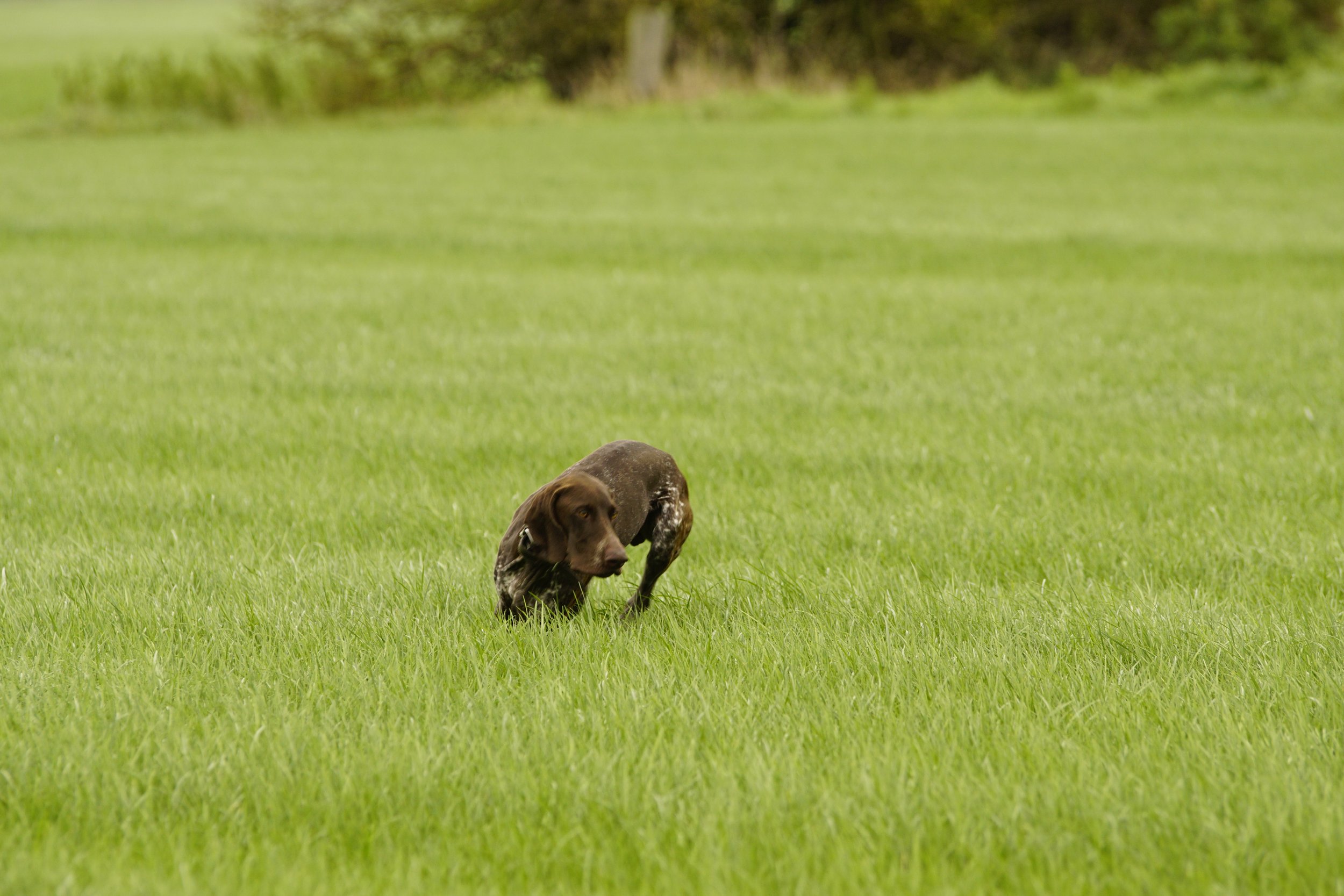 _DSC9636.JPG