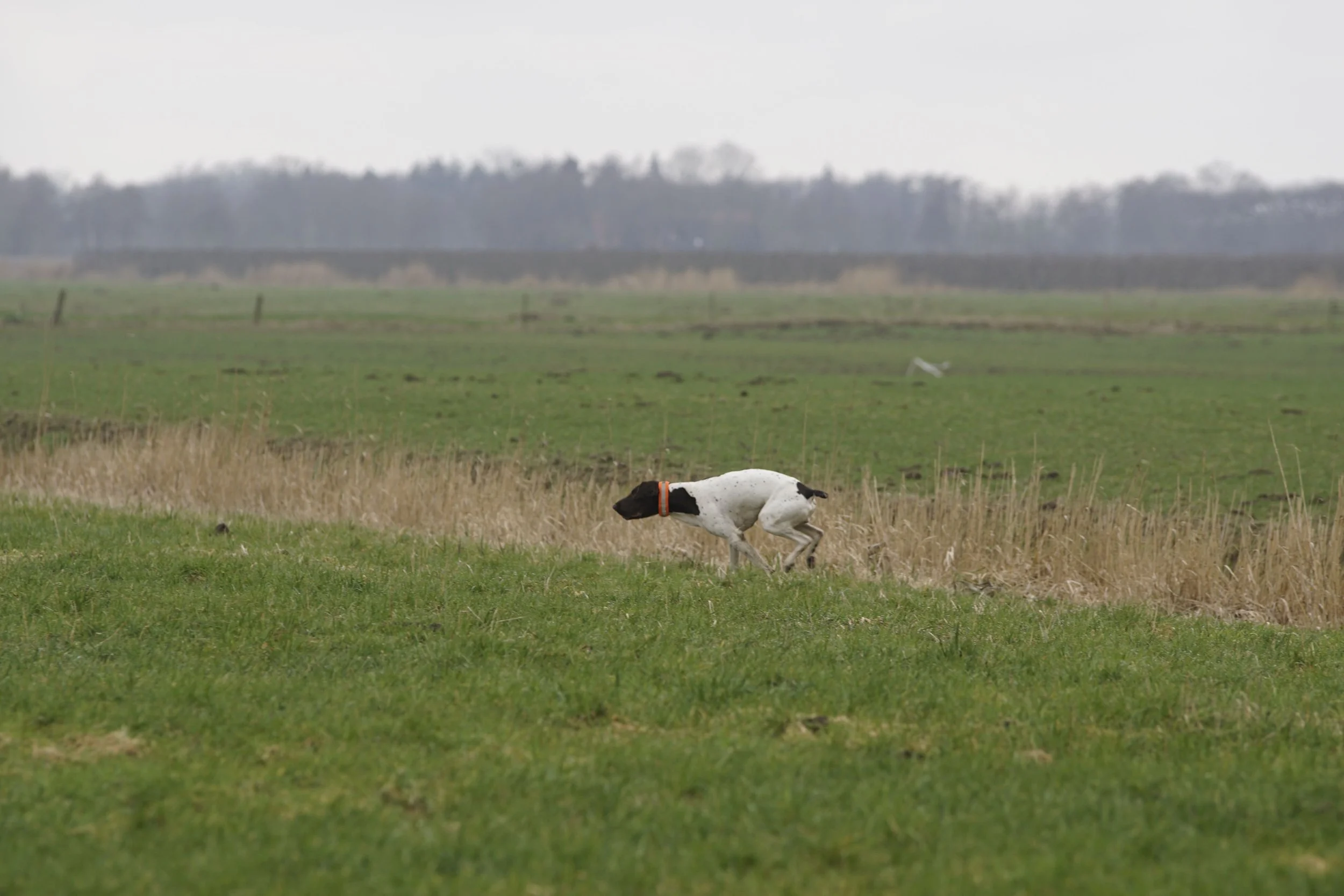 _DSC0601.JPG