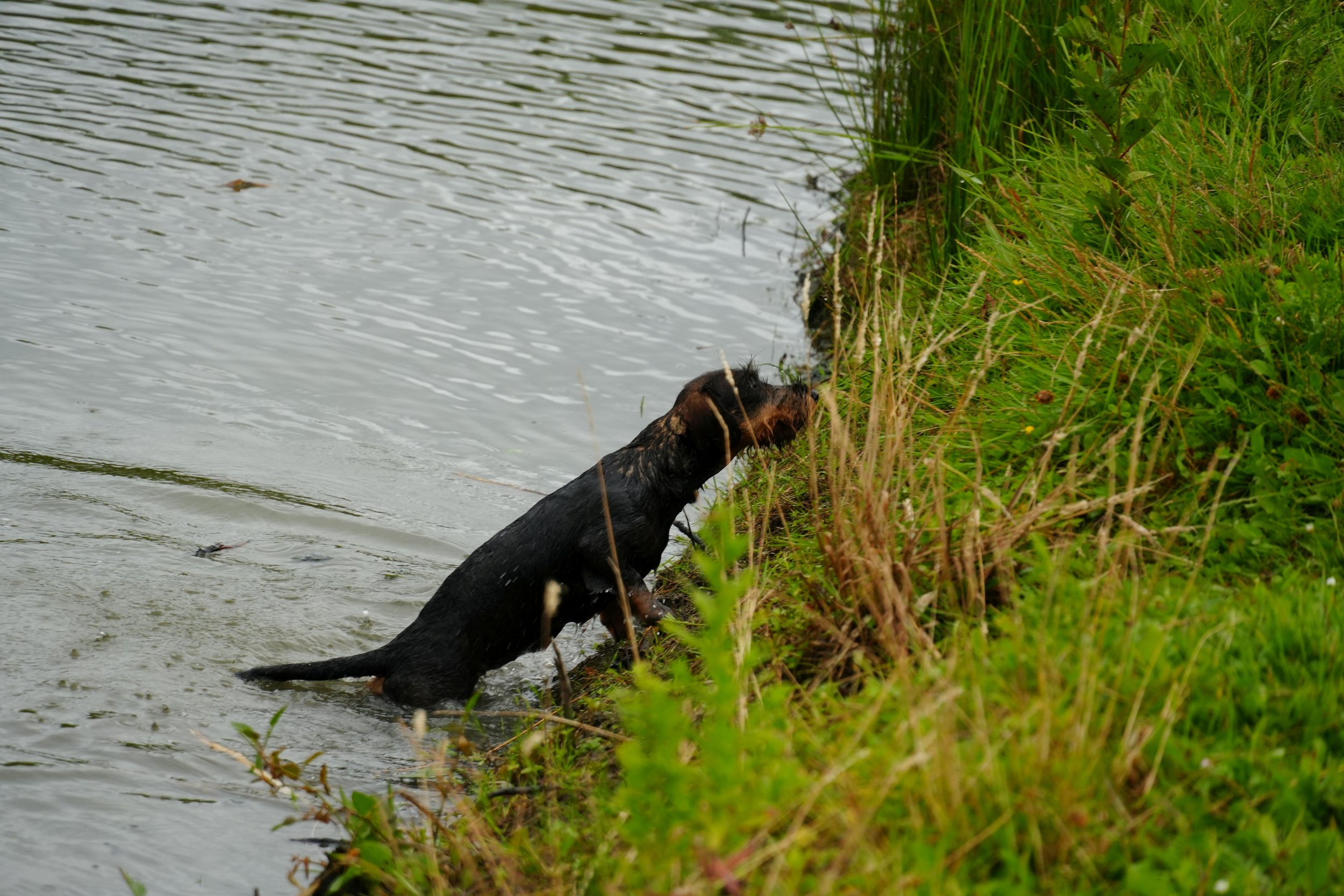 DSC08707.JPG