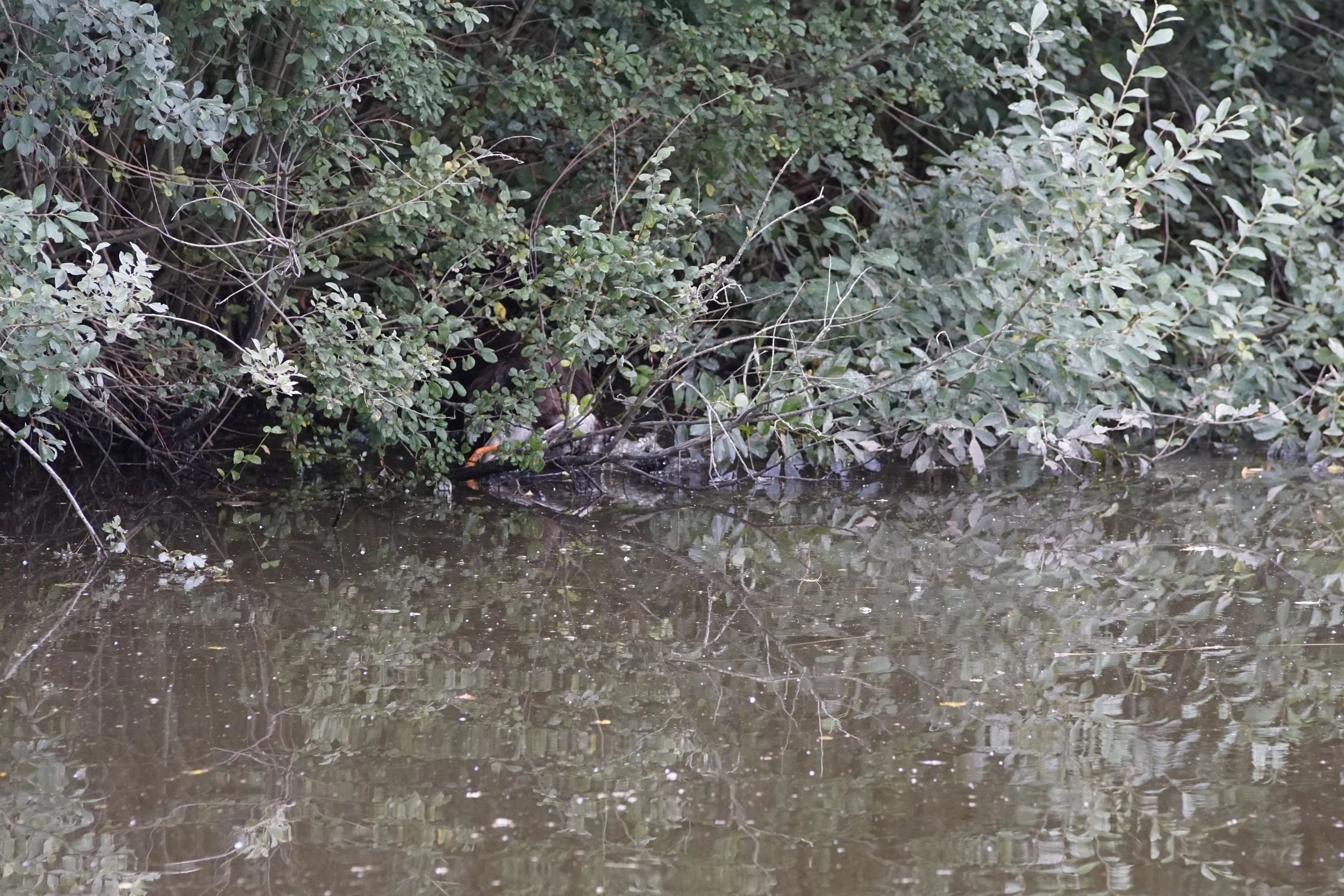 _DSC9190.JPG