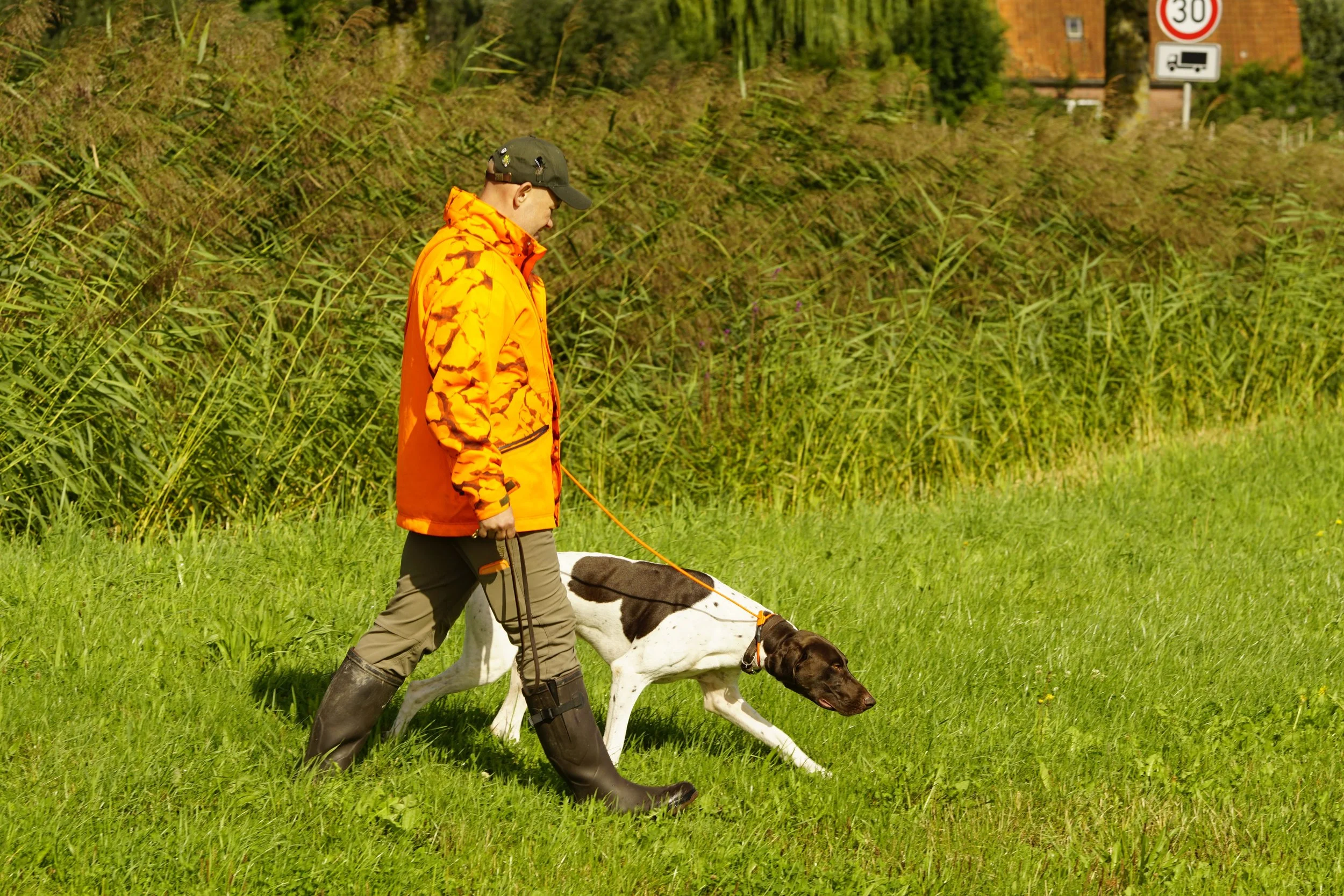 _DSC7785.JPG