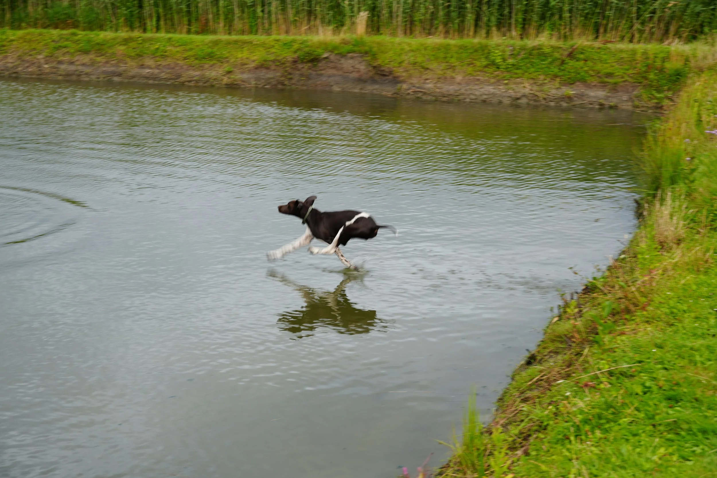 DSC08628.JPG