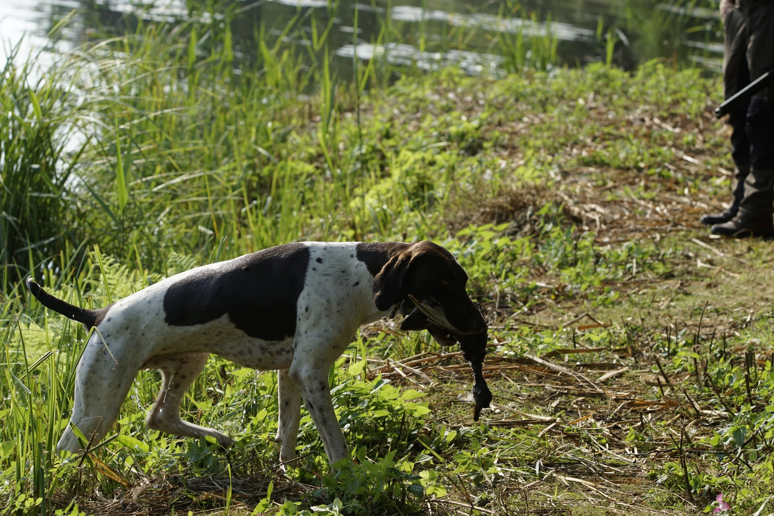 _DSC9108.JPG