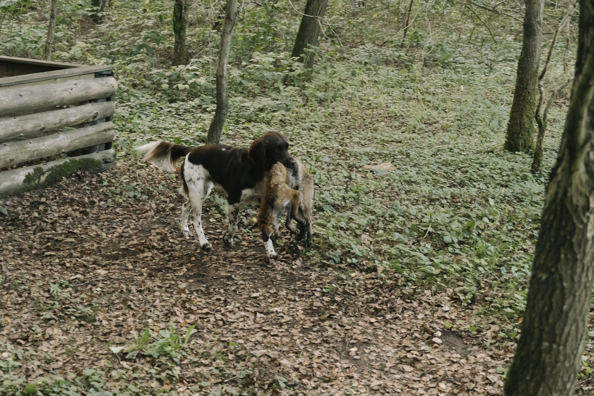 20260918-DSC06479.jpg