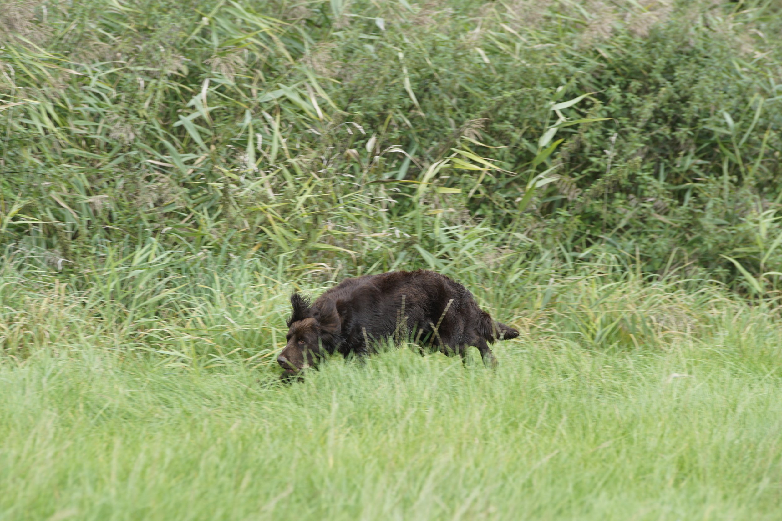 _DSC9287.JPG