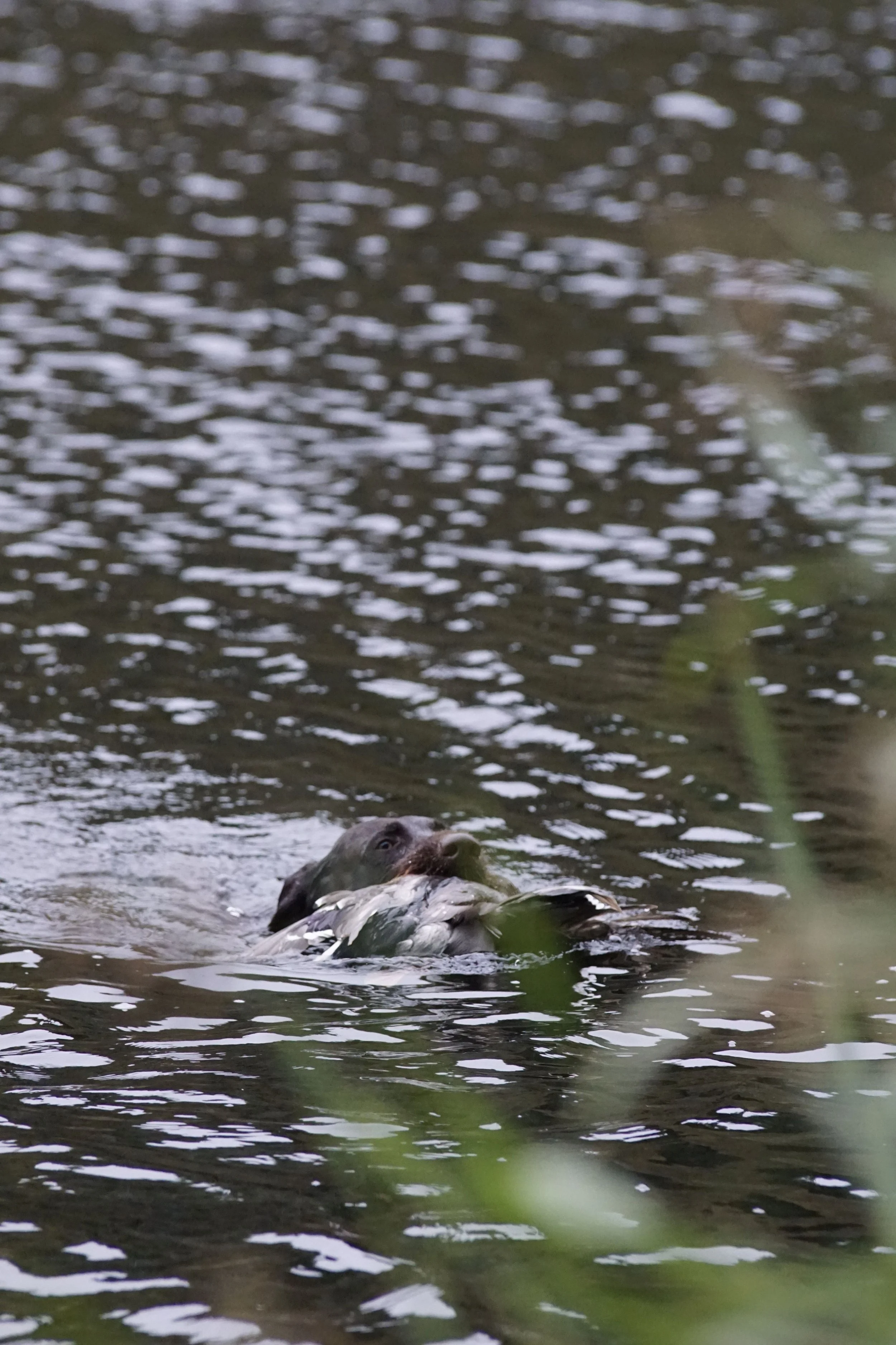 image7ii0015.jpg