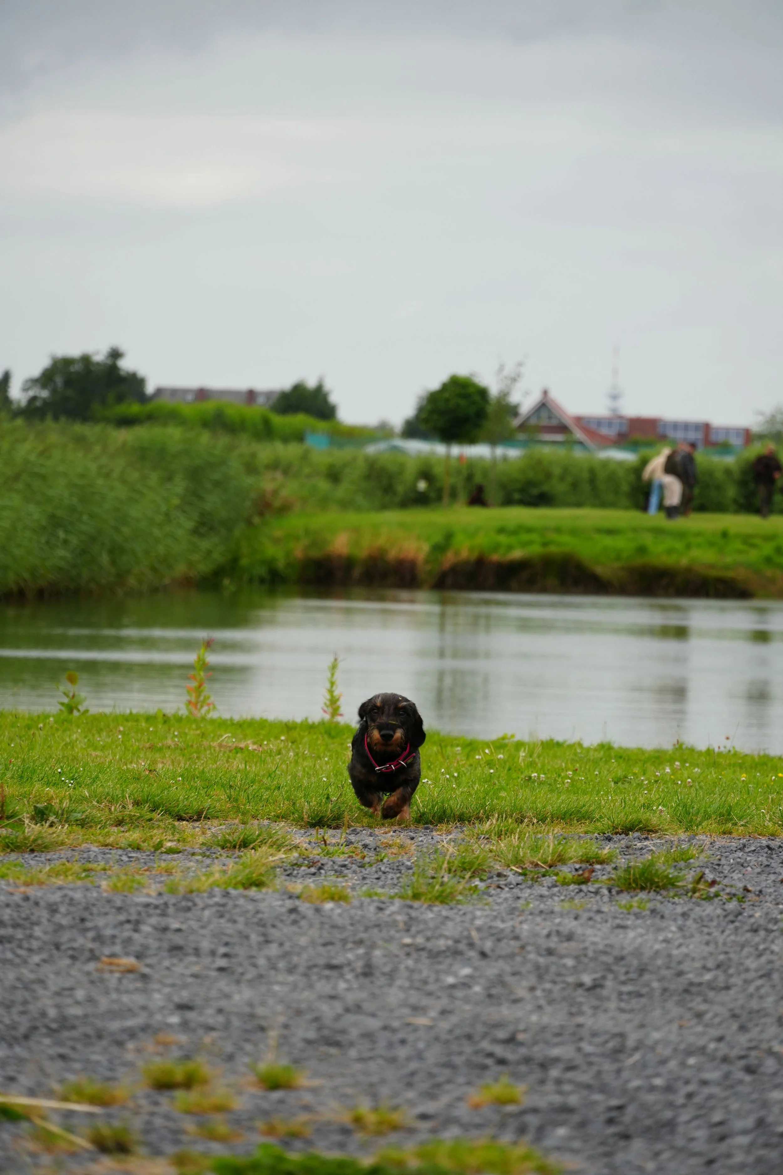 DSC08475.JPG