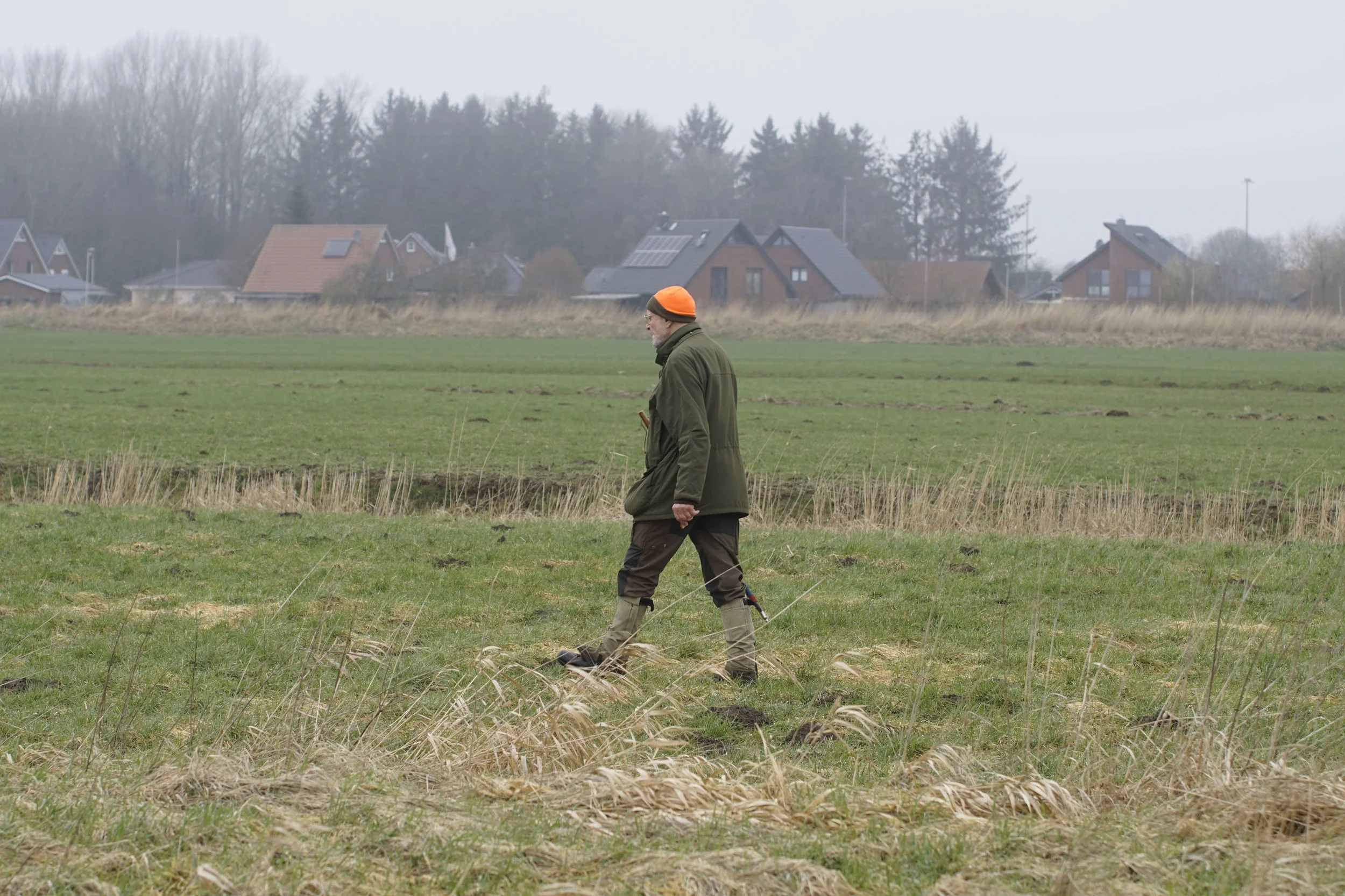 _DSC0365.JPG