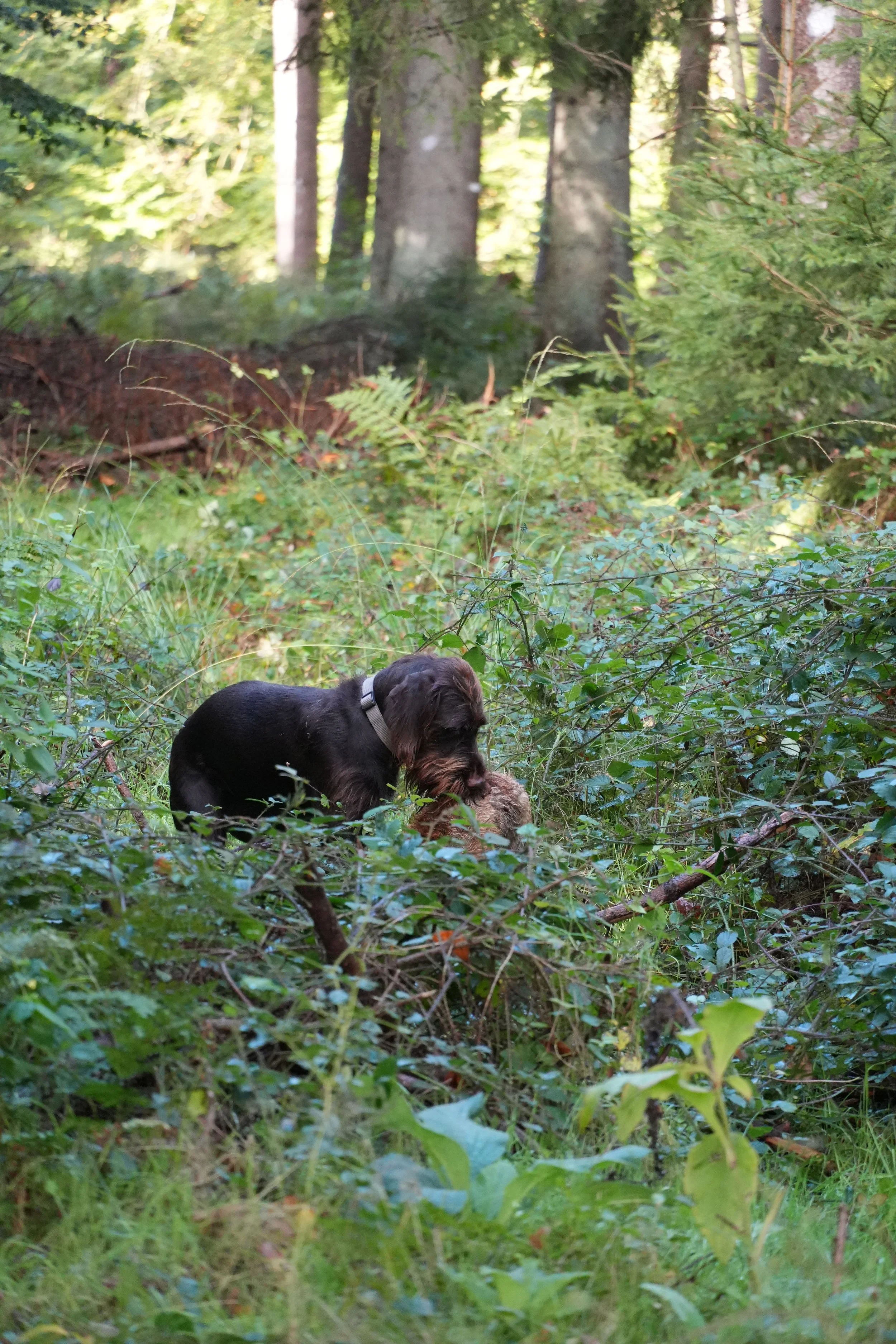 DSC07898.JPG