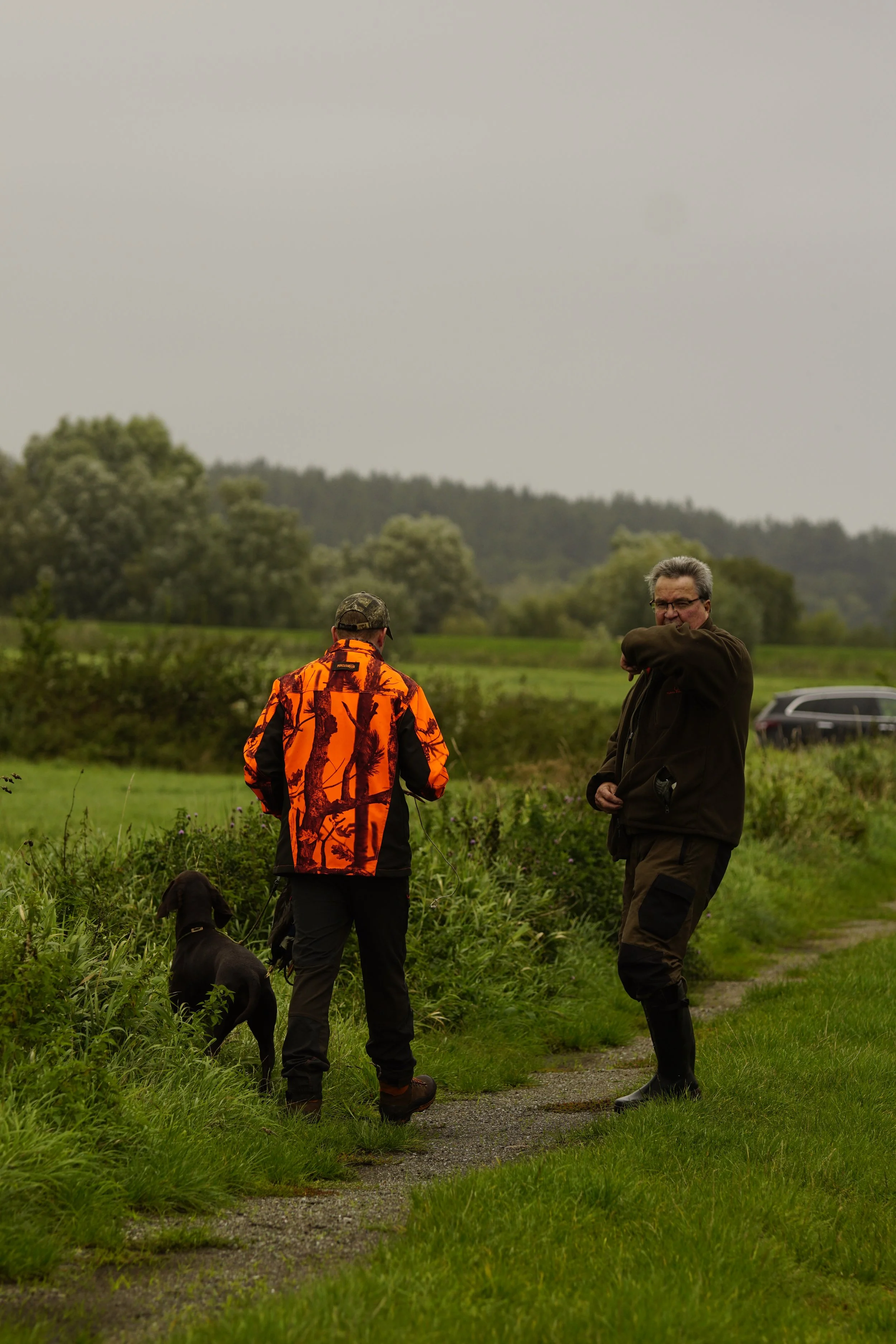 _DSC8985.JPG