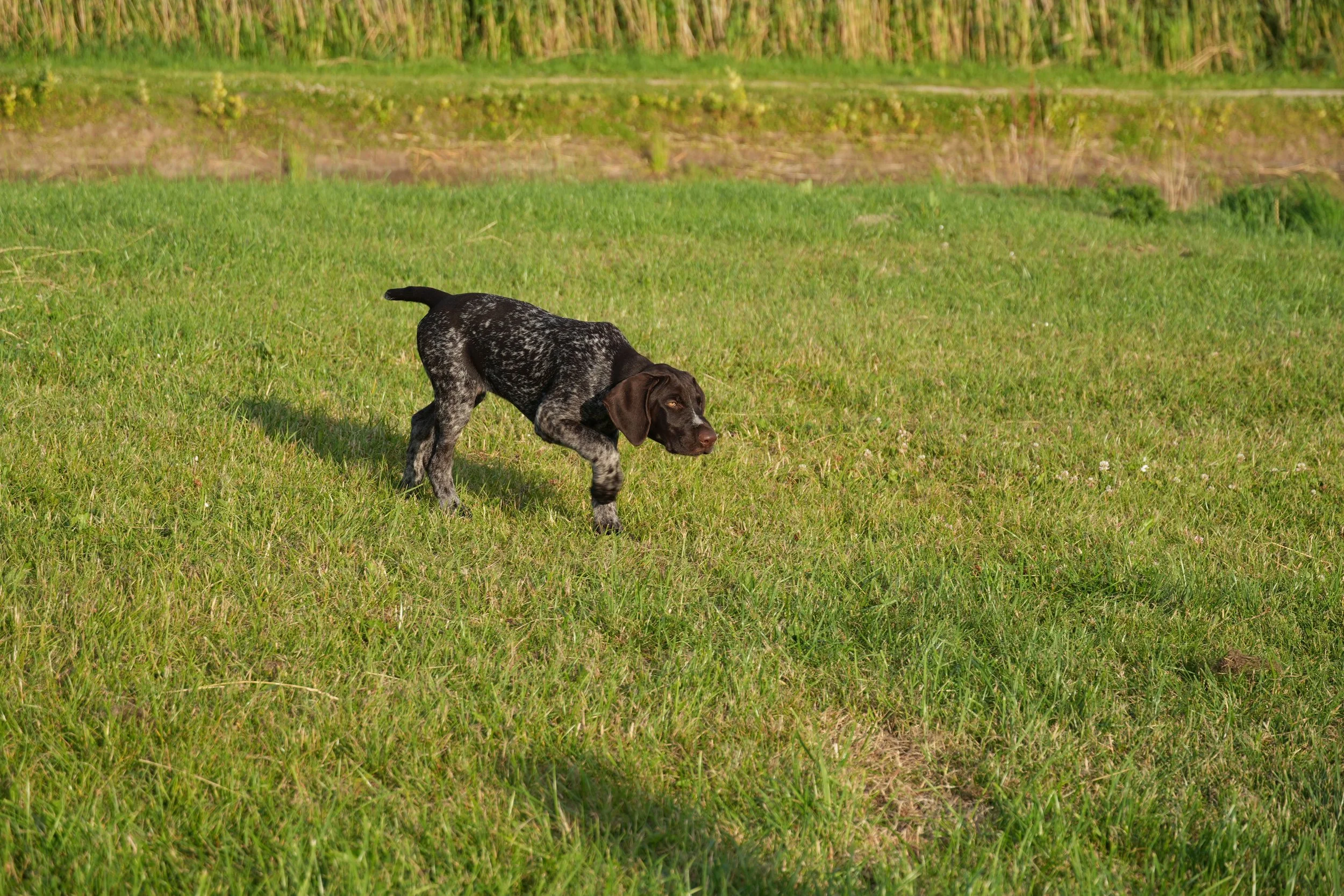 DSC08954.JPG
