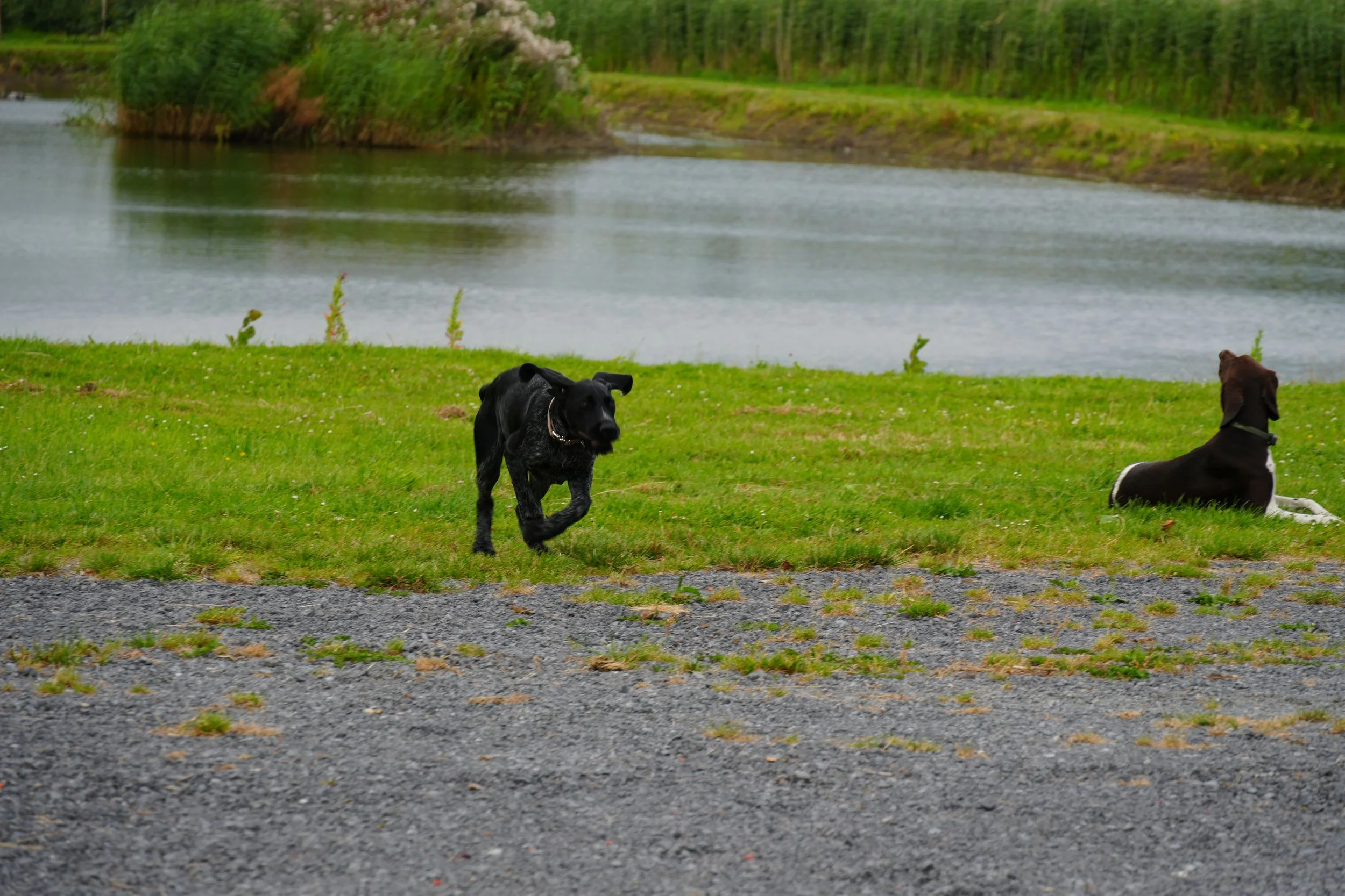 DSC08440.JPG