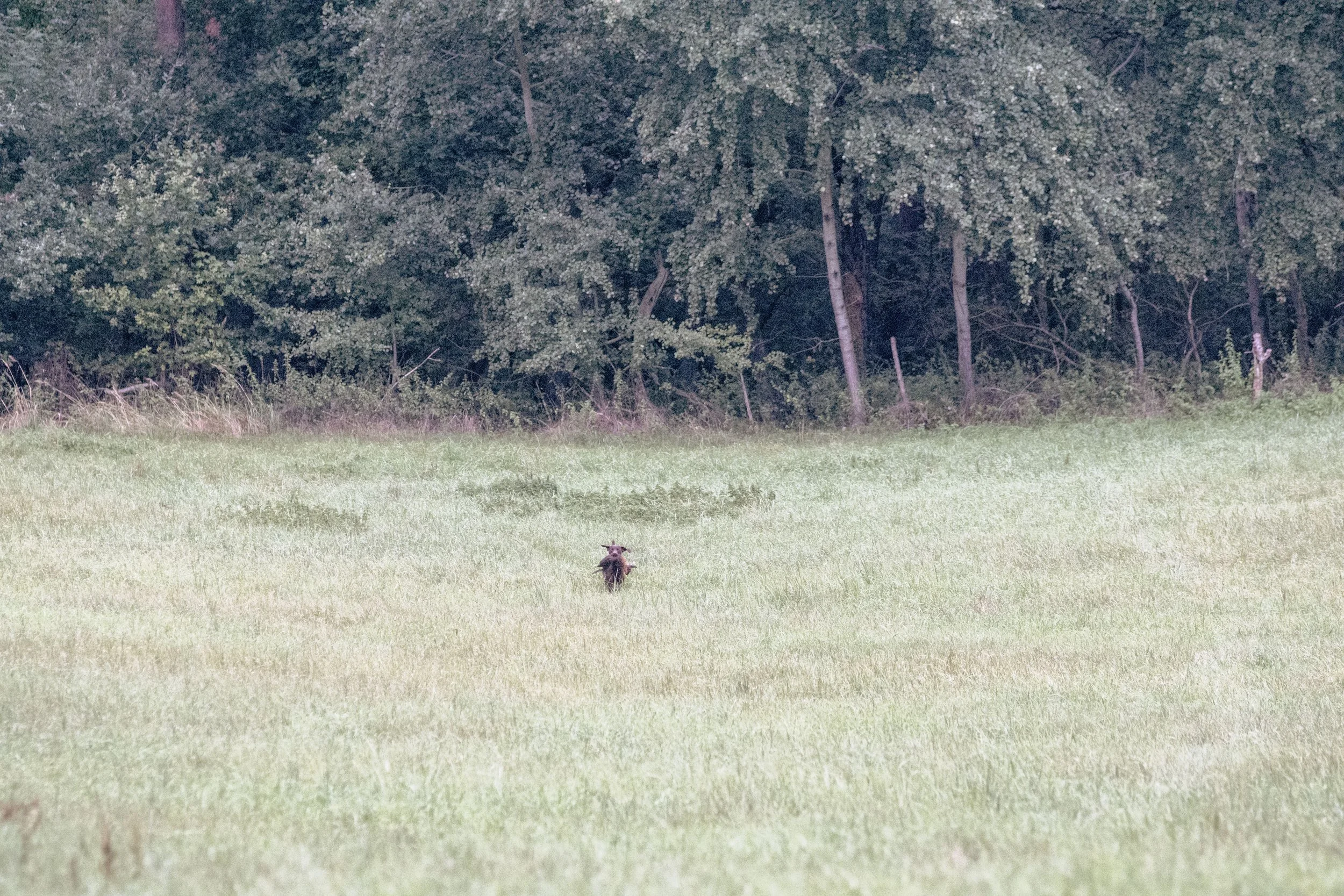 20260911-_DSC8640.jpg